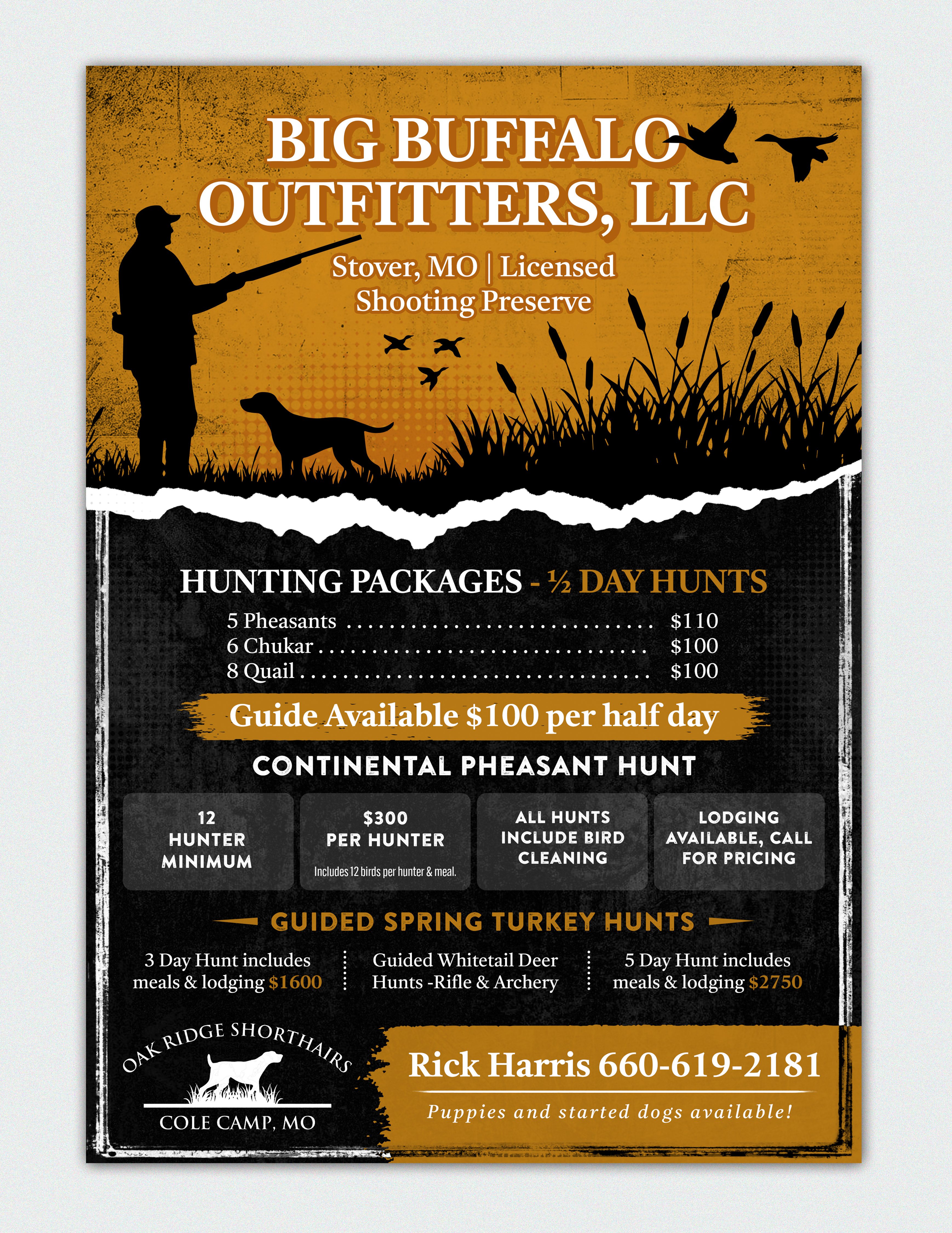 Flyer Design by SAI DESIGNS for this project | Design #35965609