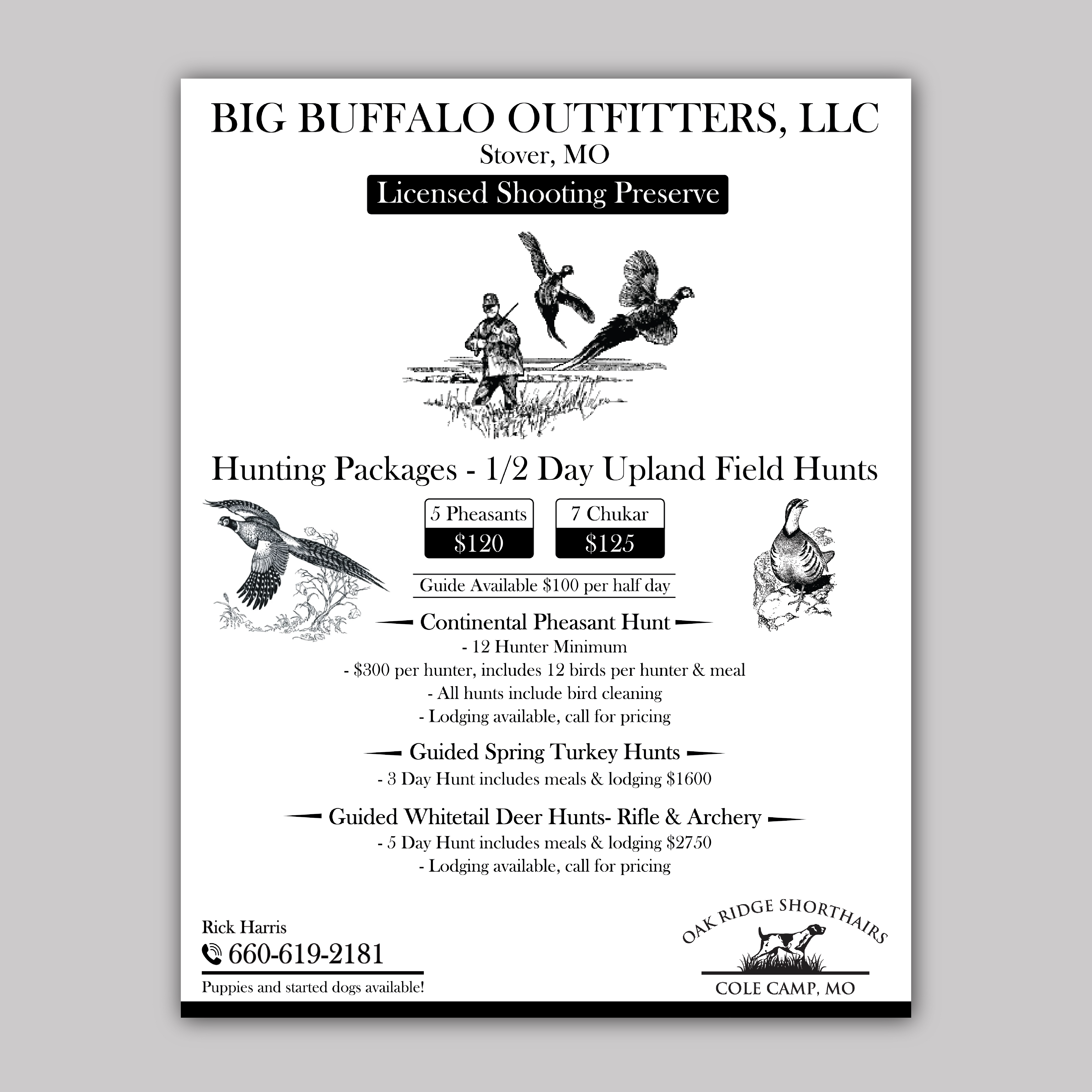 Flyer Design by Bidita Saha for this project | Design #35966916