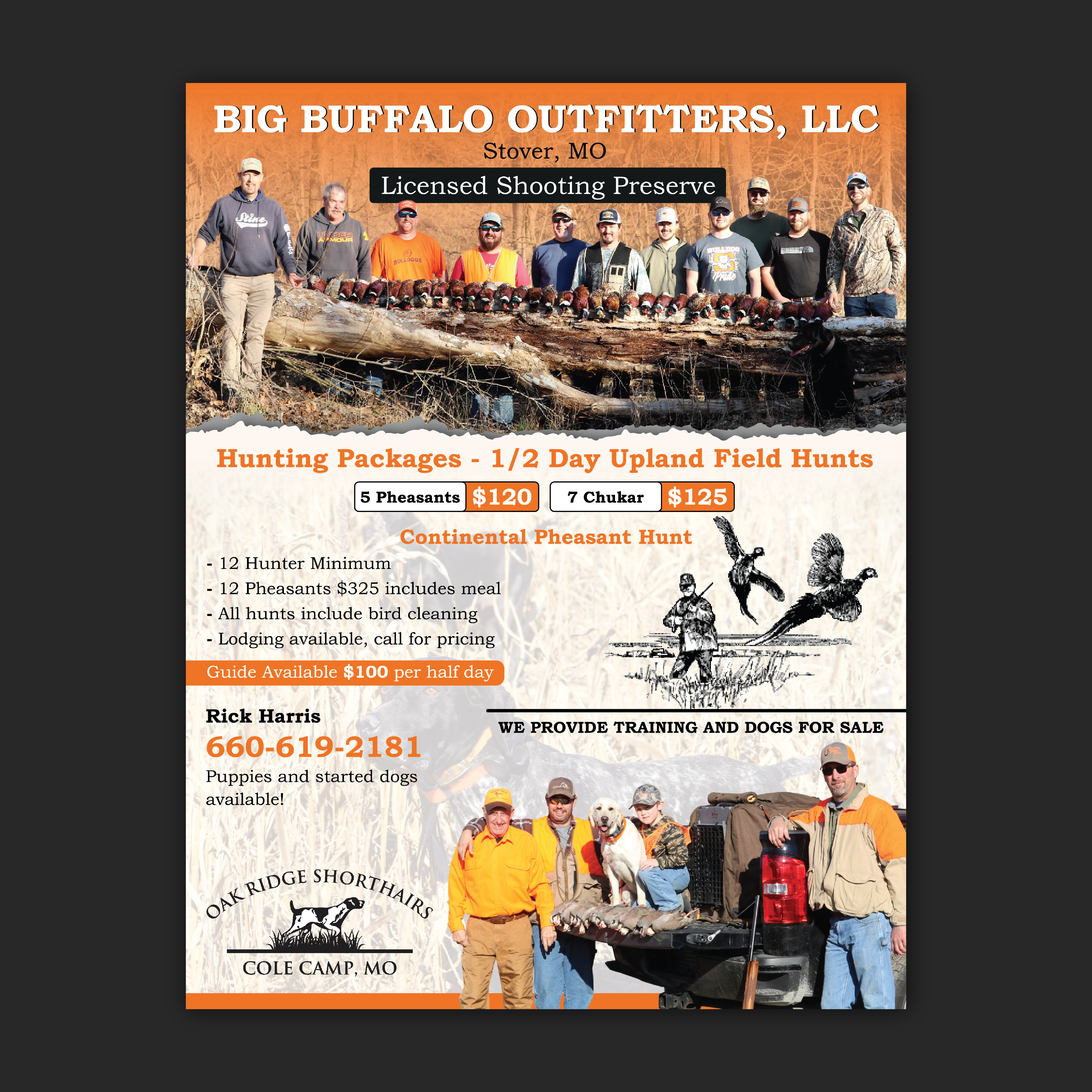 Flyer Design by Bidita Saha for this project | Design #35977180