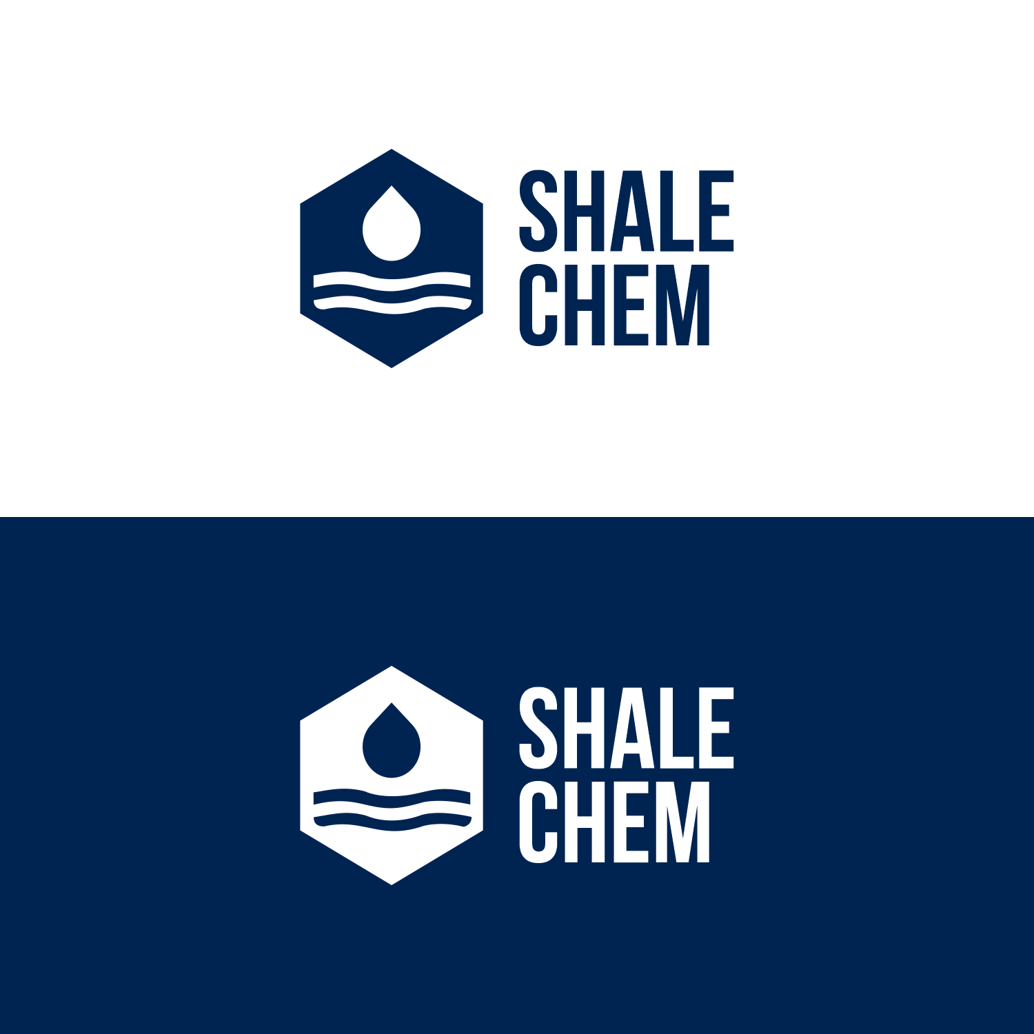 Diseño de Logo por Solikin Design para Shale Chem | Diseño #35962748