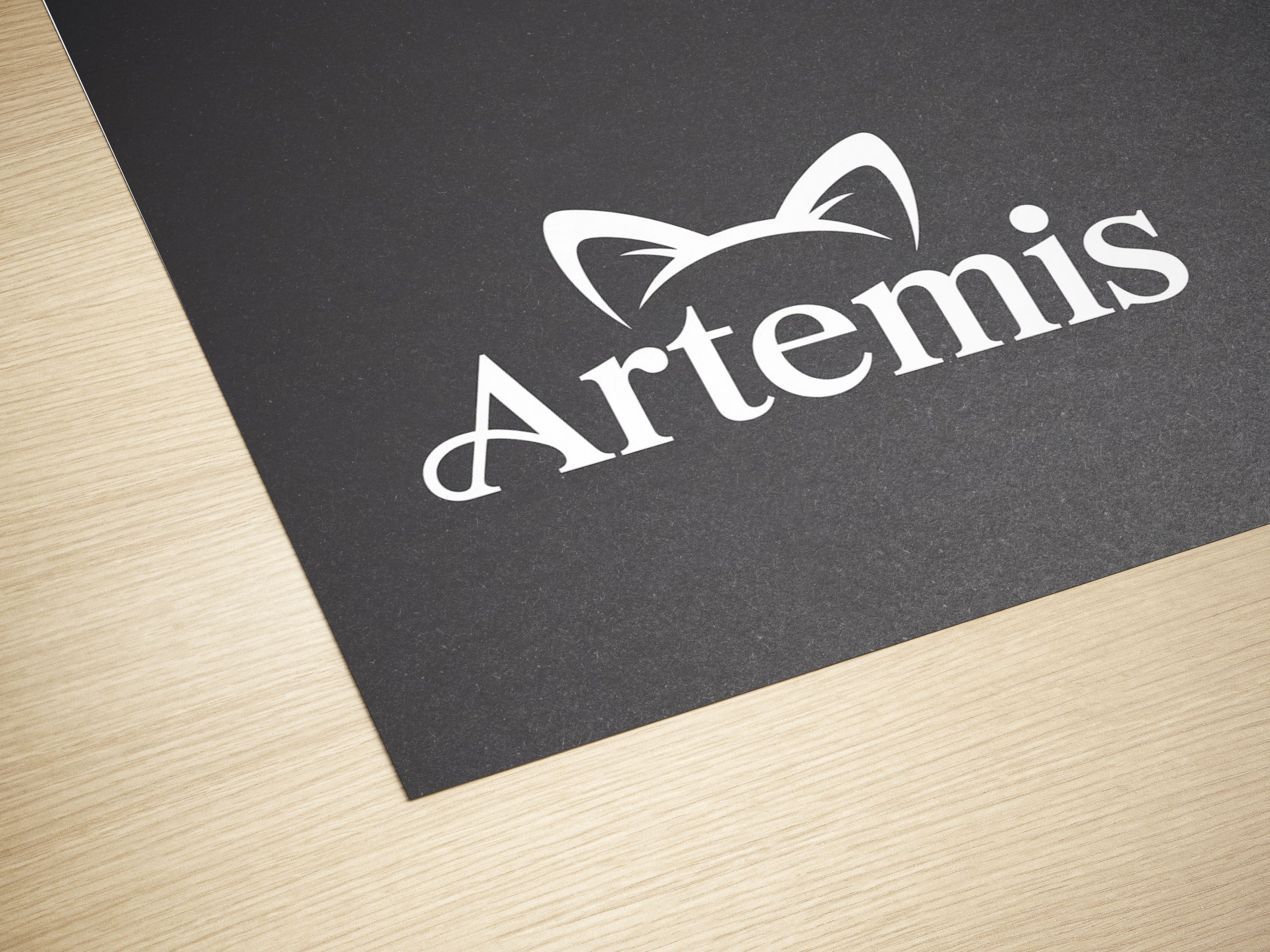 Logo Design by PixelCraft Designs for this project | Design #35970940