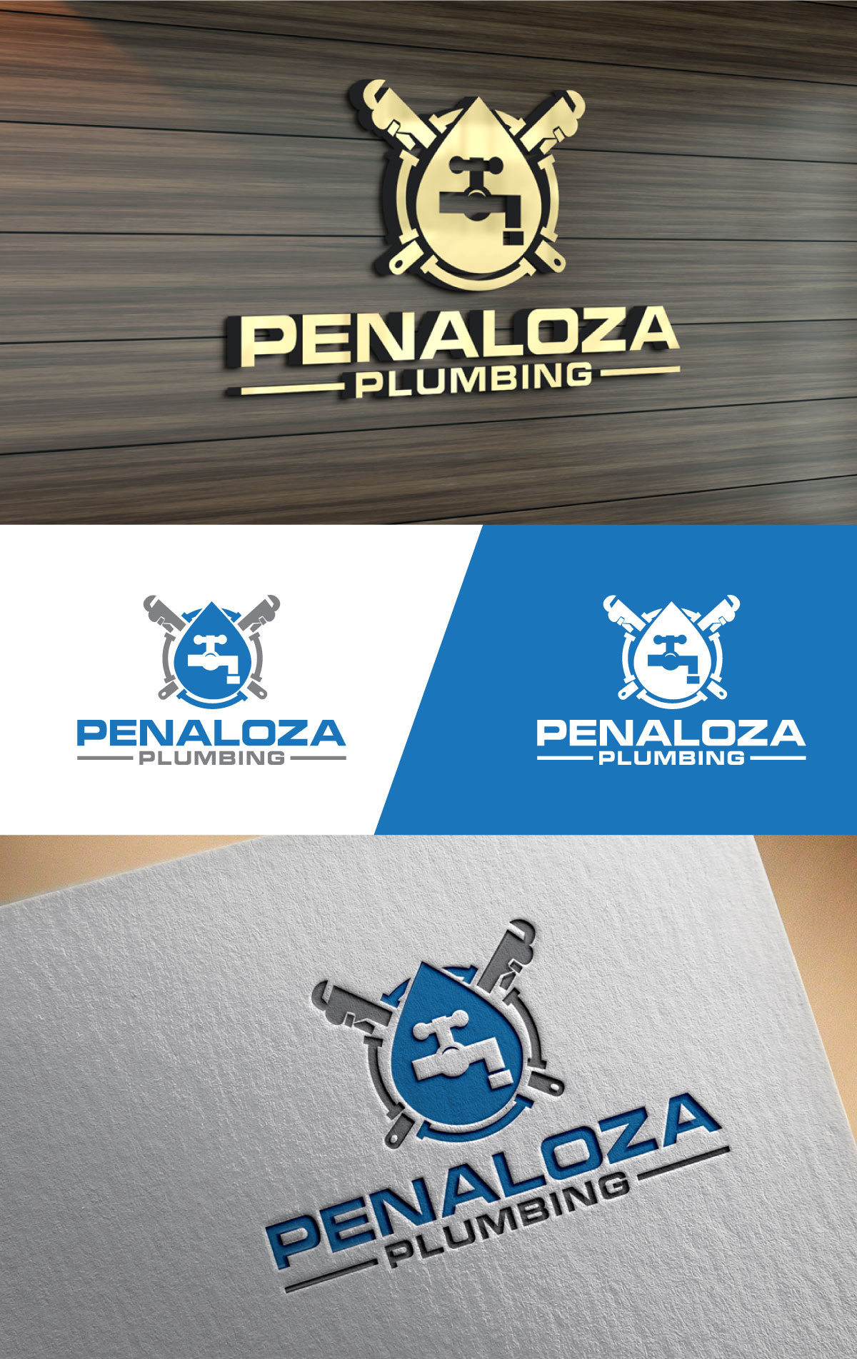 Logo-Design von Logo Editing Master für dieses Projekt | Design #35966002