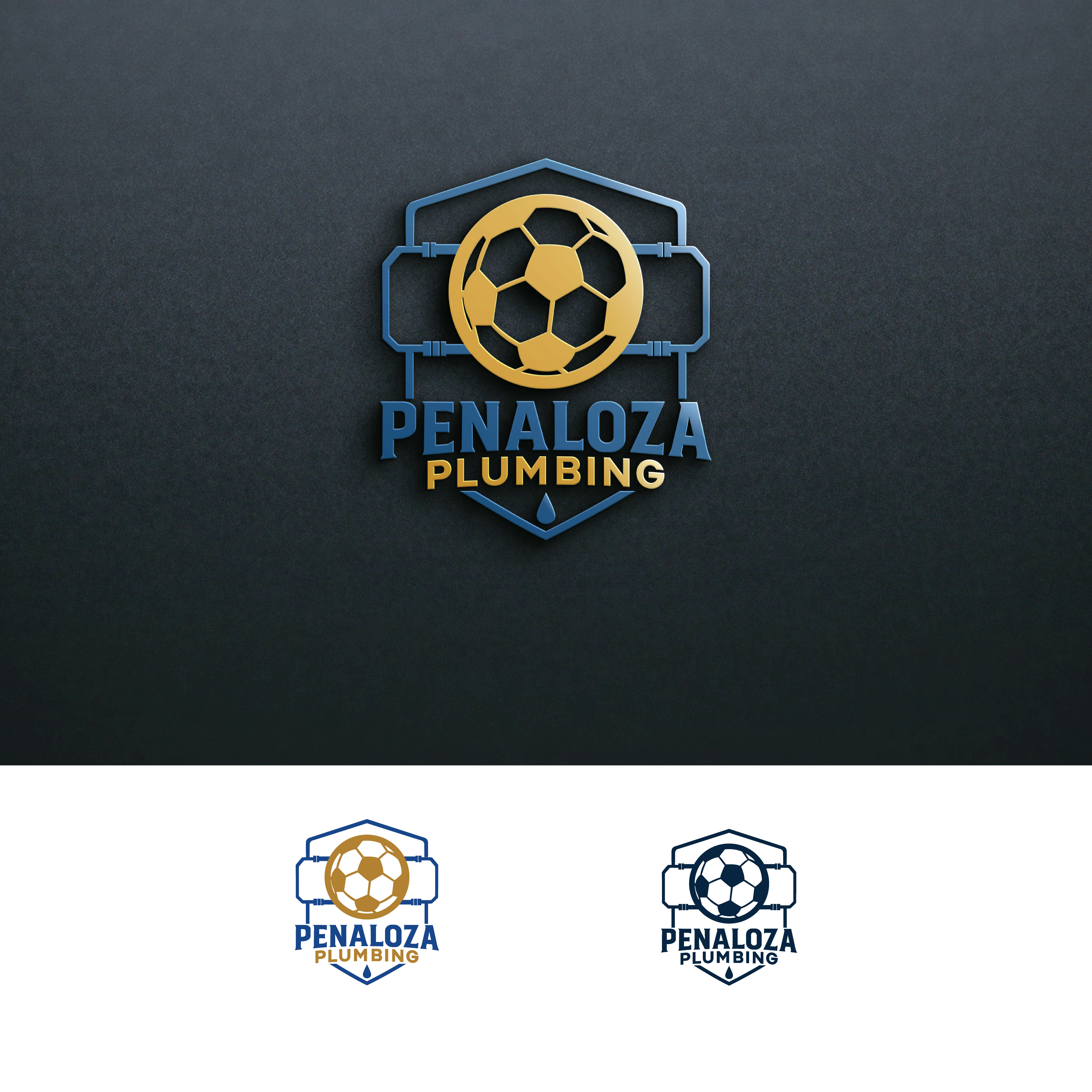Logo Design by ainee4 for this project | Design #35967842