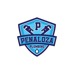 Logo Design by geni