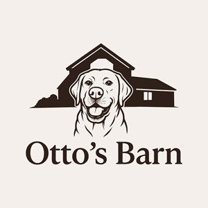 Logo Design by HF STUDIO