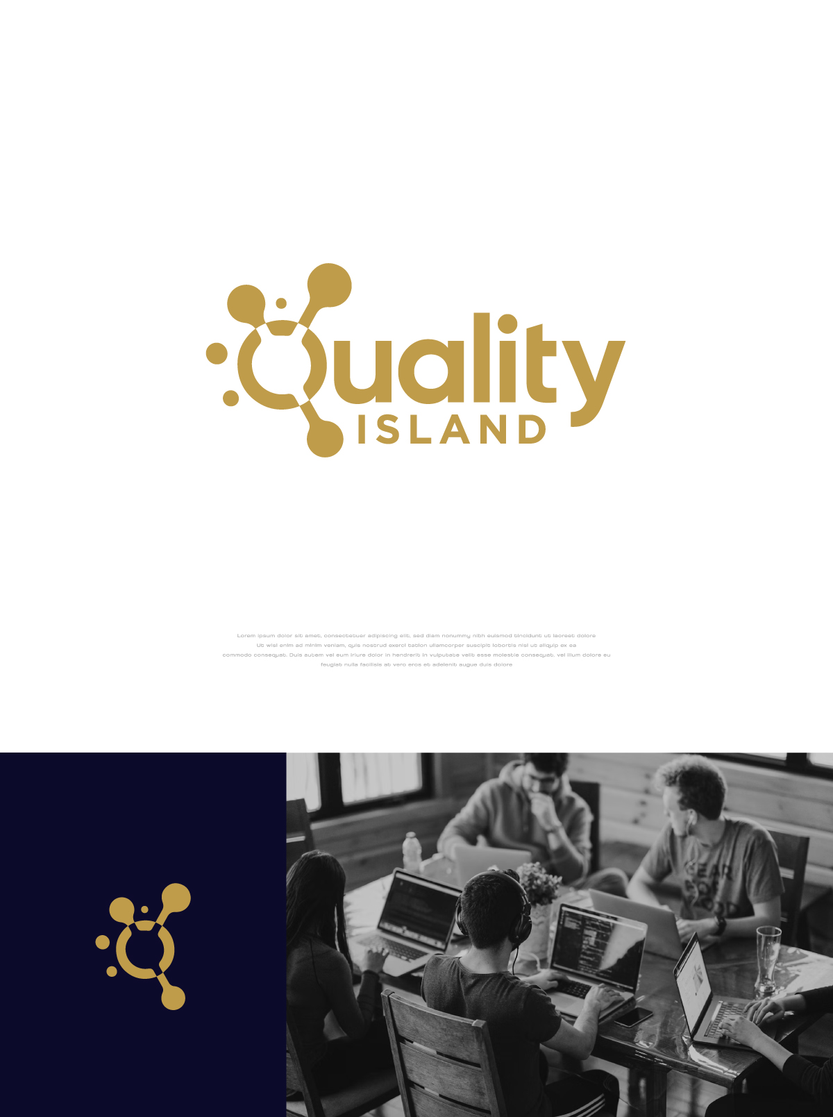 Logo Design by apik. for Quality Island Sp. z o.o. | Design #35976993