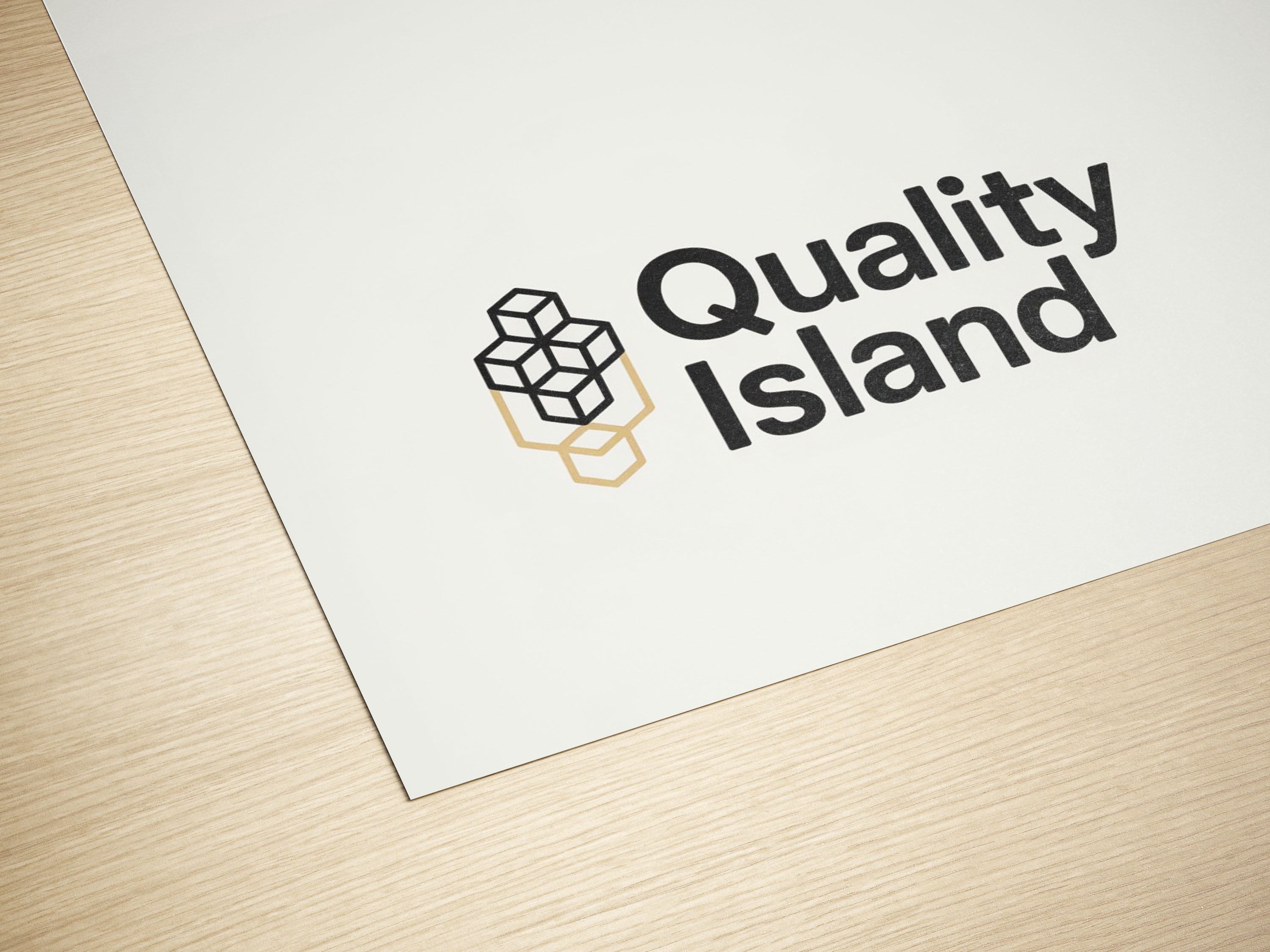 Logo Design by PixelCraft Designs for Quality Island Sp. z o.o. | Design #35984519