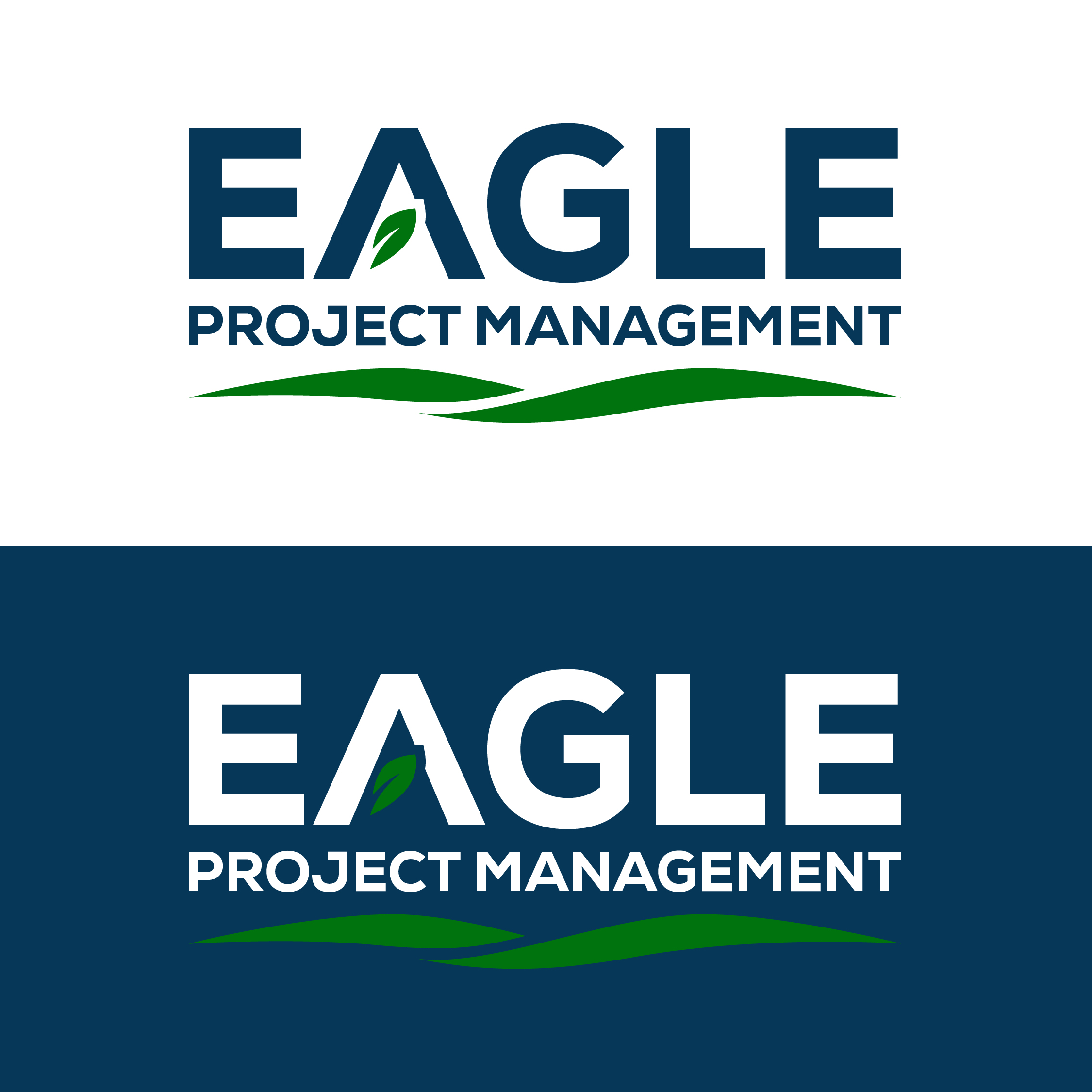 Design Graphique par Titan Solbiz pour Eagle Project Management | Design #36018456