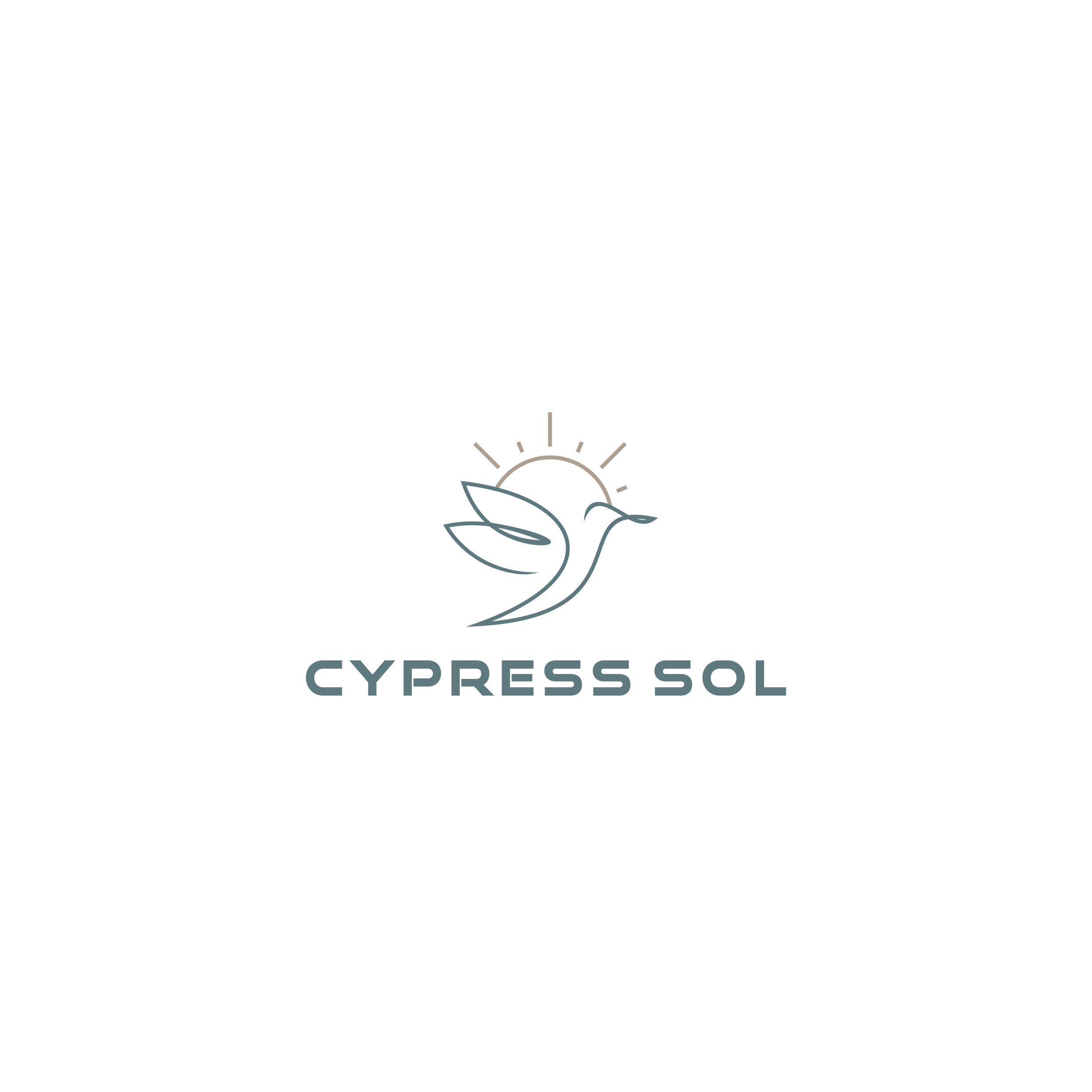 Design de Logo par Jeferson HP pour Olympus Ventures | Design #35981750