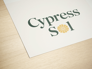 Design de Logo par PixelCraft Designs pour Olympus Ventures | Design : #35988341