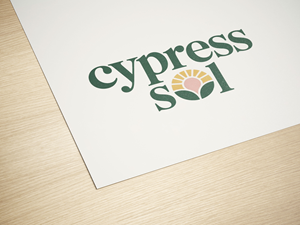 Logo Design by PixelCraft Designs for Olympus Ventures | Design: #35988352