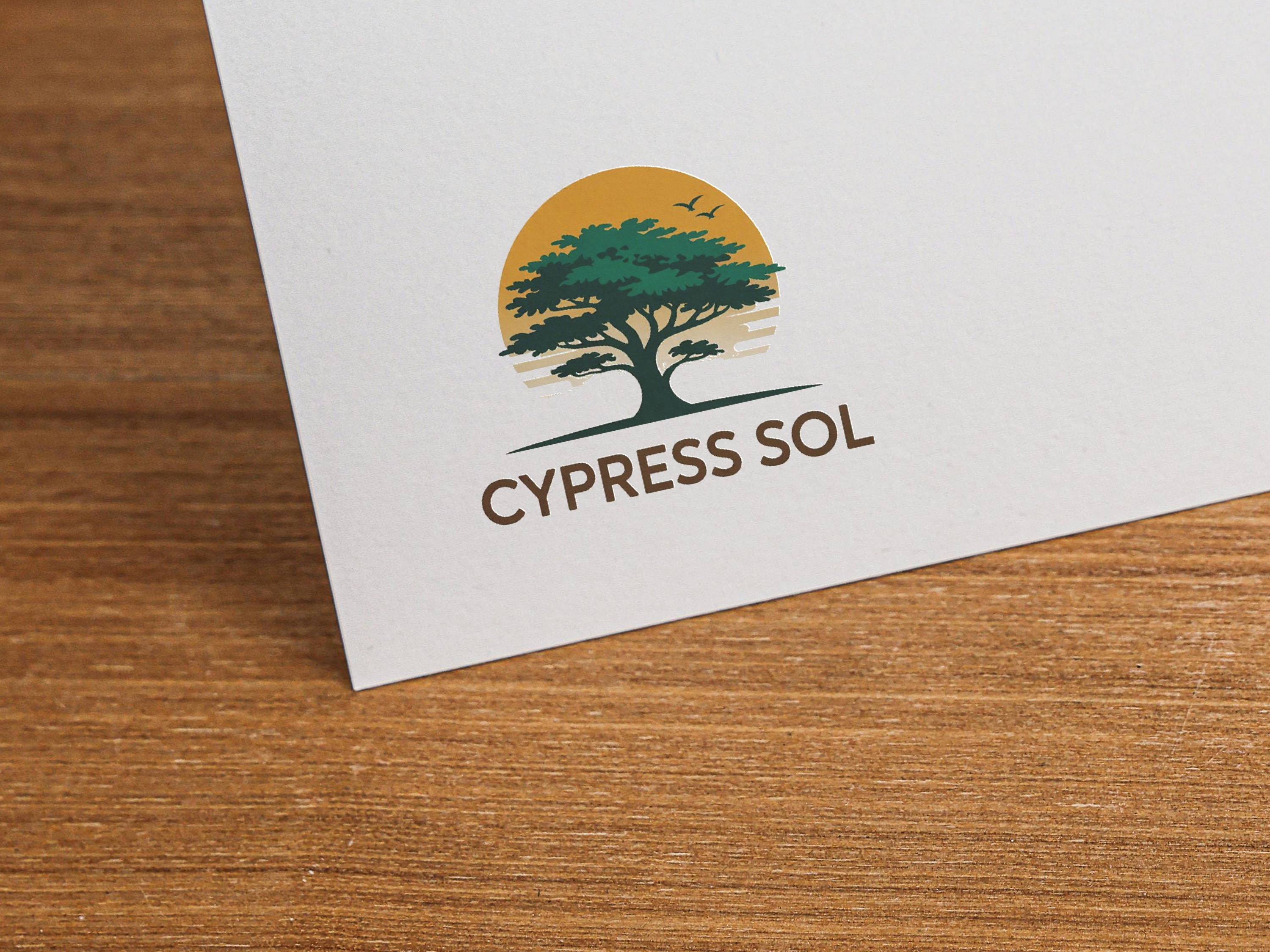 Diseño de Logo por GraphiqueLab para Olympus Ventures | Diseño #35985915