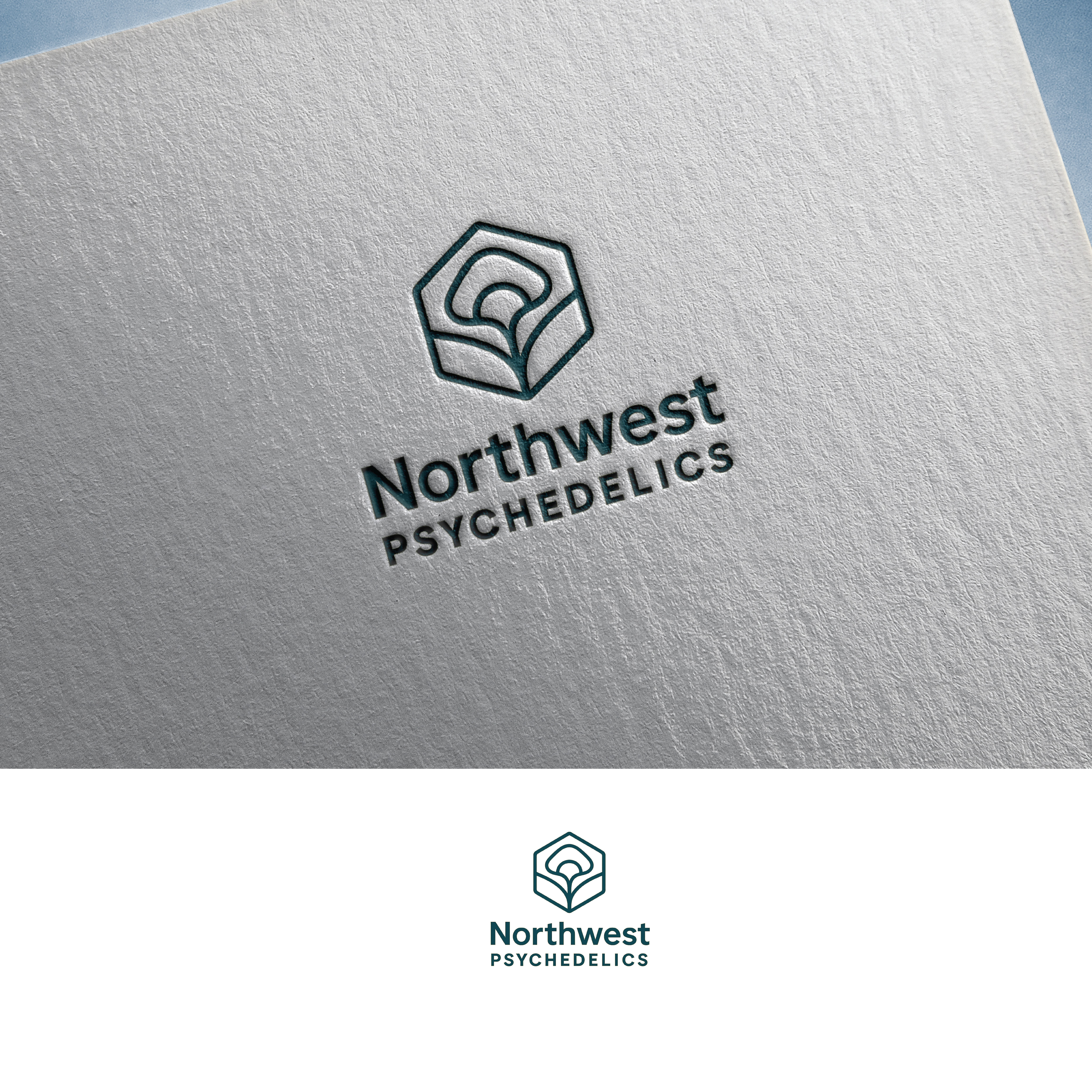 Logo Design by ainee4 for this project | Design #36009438