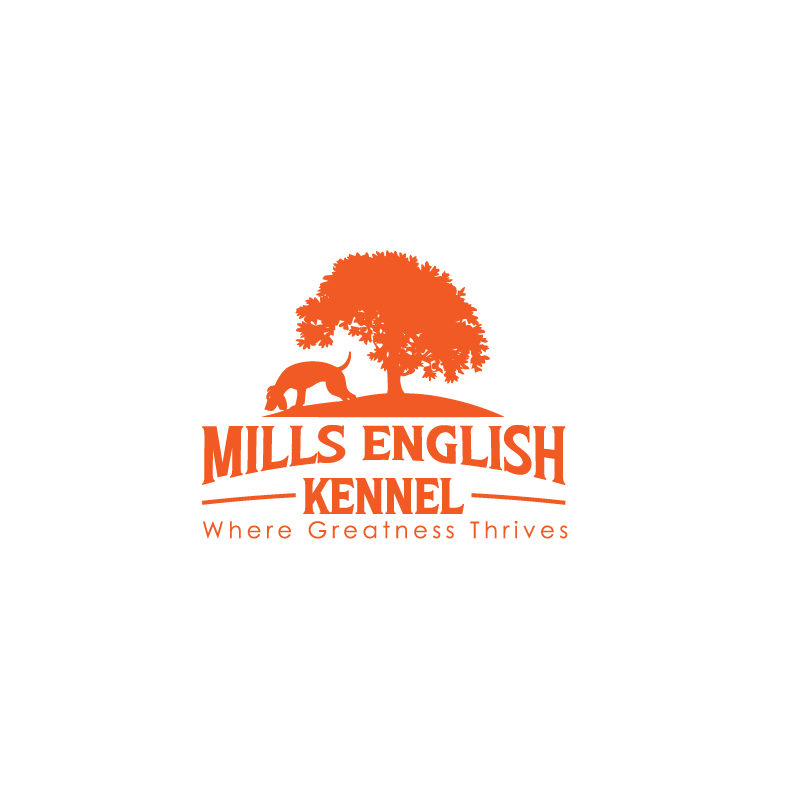 Logo Design by VisionCraft™ for this project | Design #35996486