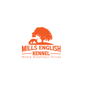 Logo Design by VisionCraft™ for this project | Design: #35996486