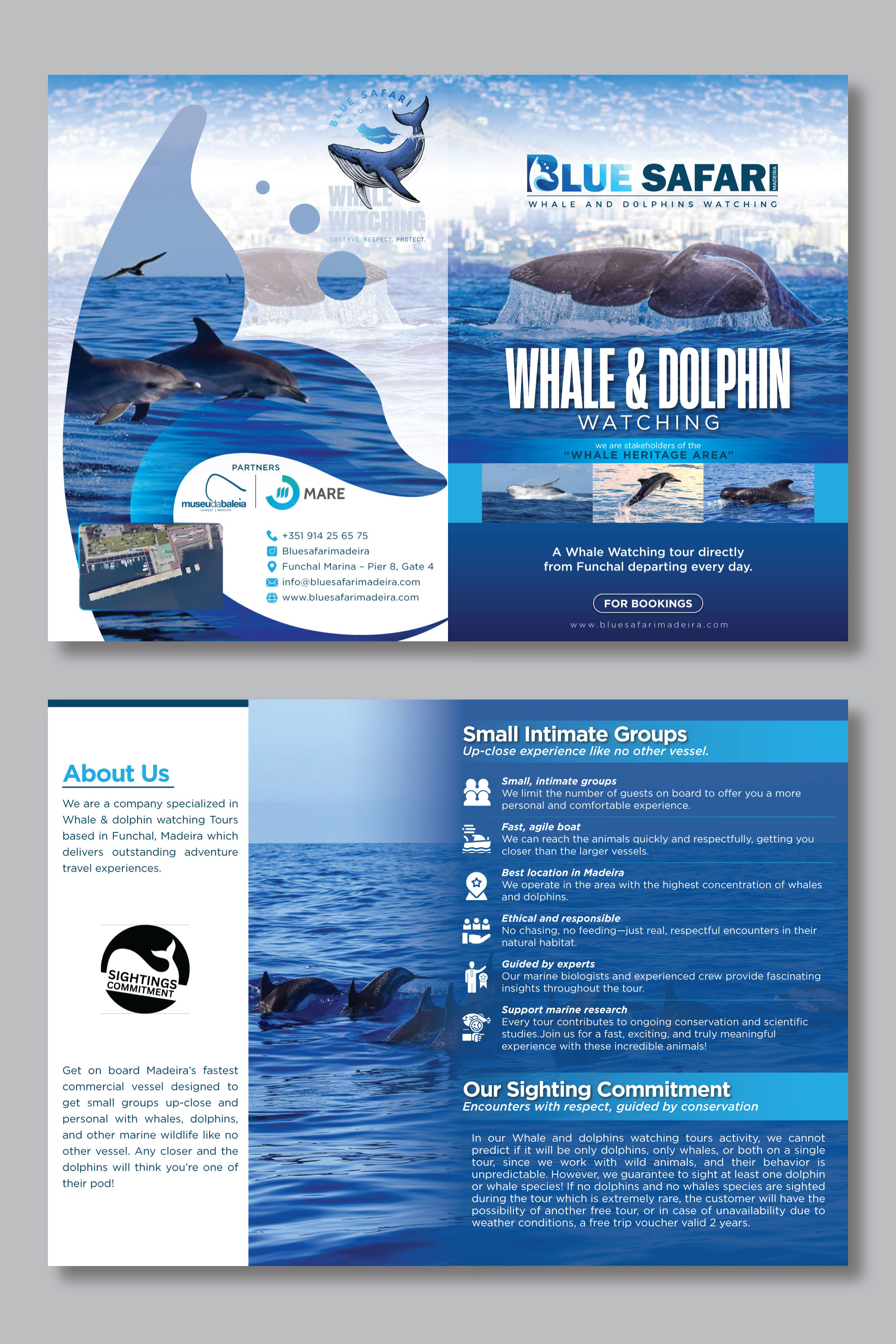 Design de Flyer par Impressive Designs pour Amazinganchor lda | Design #36019150