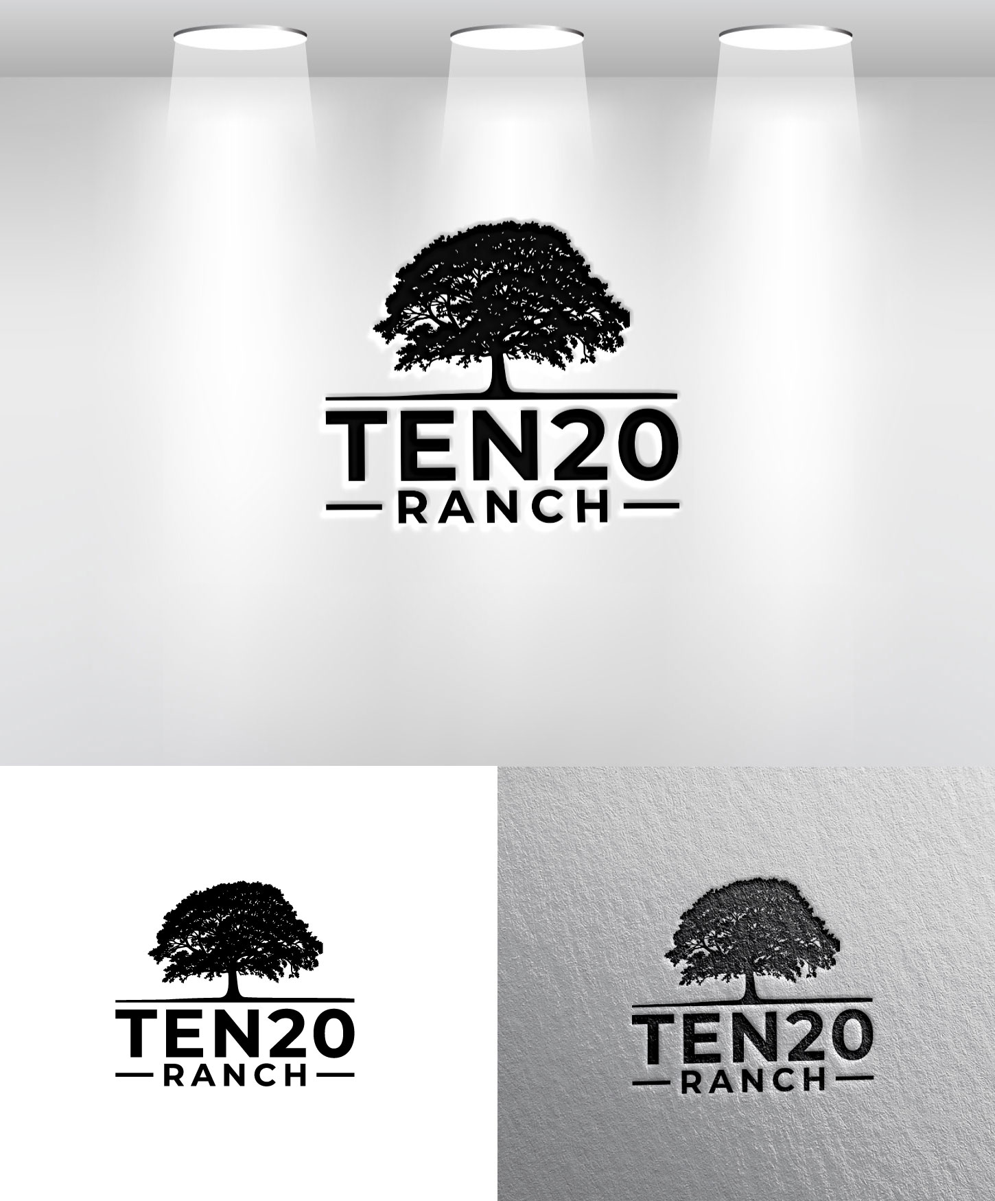 Logo-Design von Mi Design1 für dieses Projekt | Design #36001826