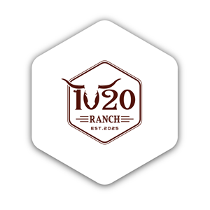 Logo Design by TARGET logo for this project | Design: #36004214