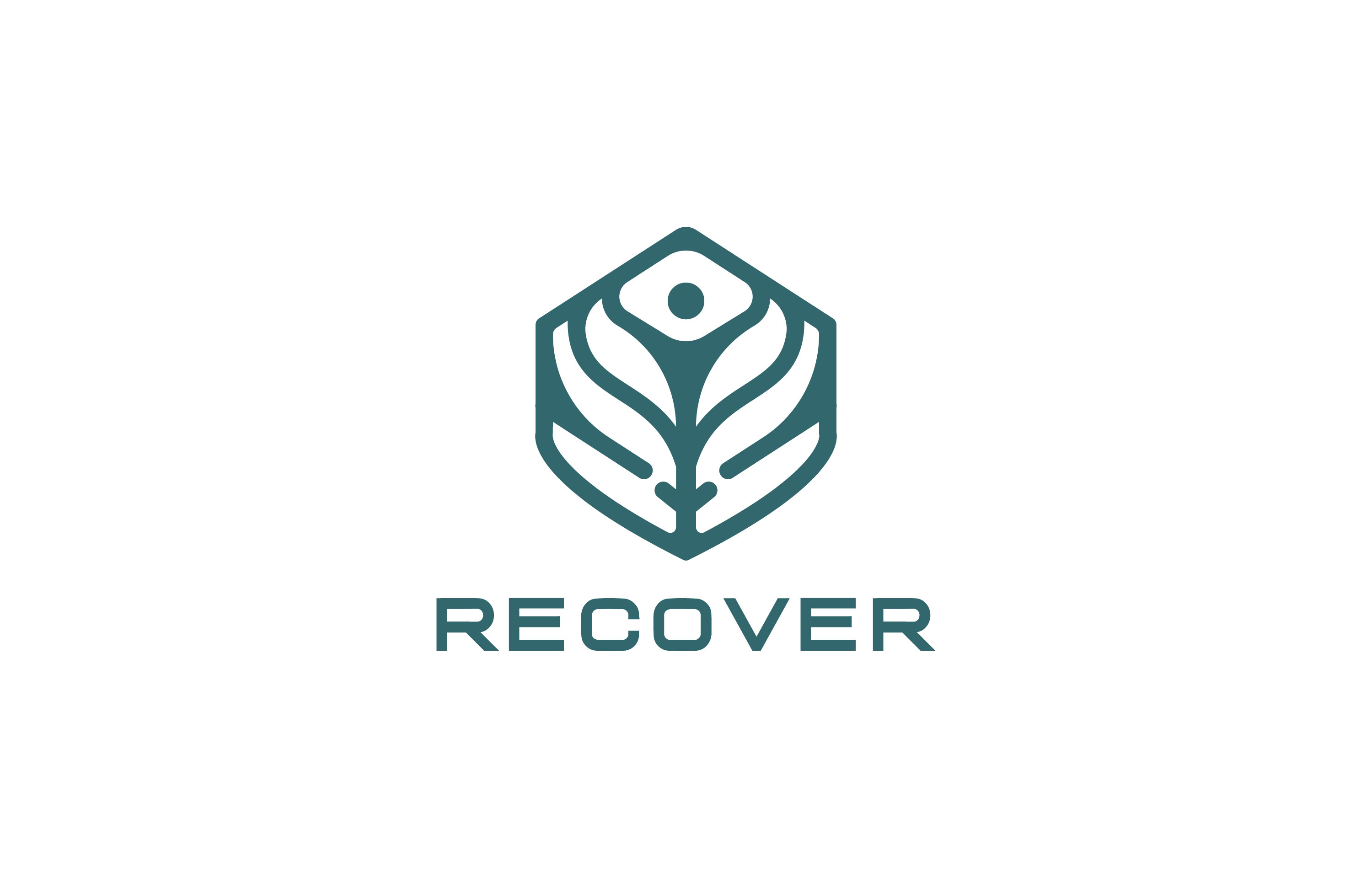 Logo Design by VALUES for this project | Design #36021248