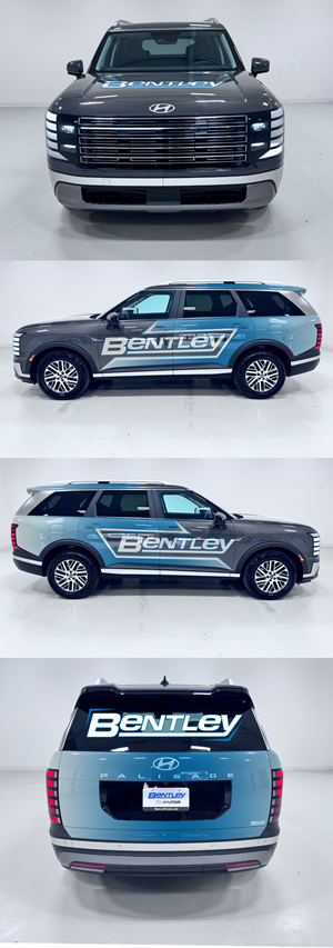 Graphic Design by AZ_Studio for Credit Now Auto Sales  | Design: #36043157