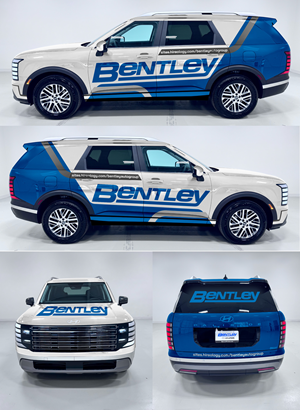 Graphic Design by websmartusa for Credit Now Auto Sales  | Design: #36021291