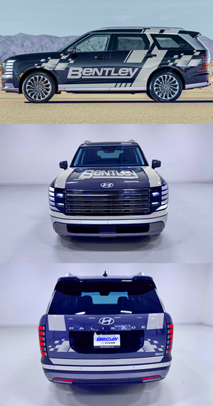 Graphic Design by SAI DESIGNS for Credit Now Auto Sales  | Design: #36240119