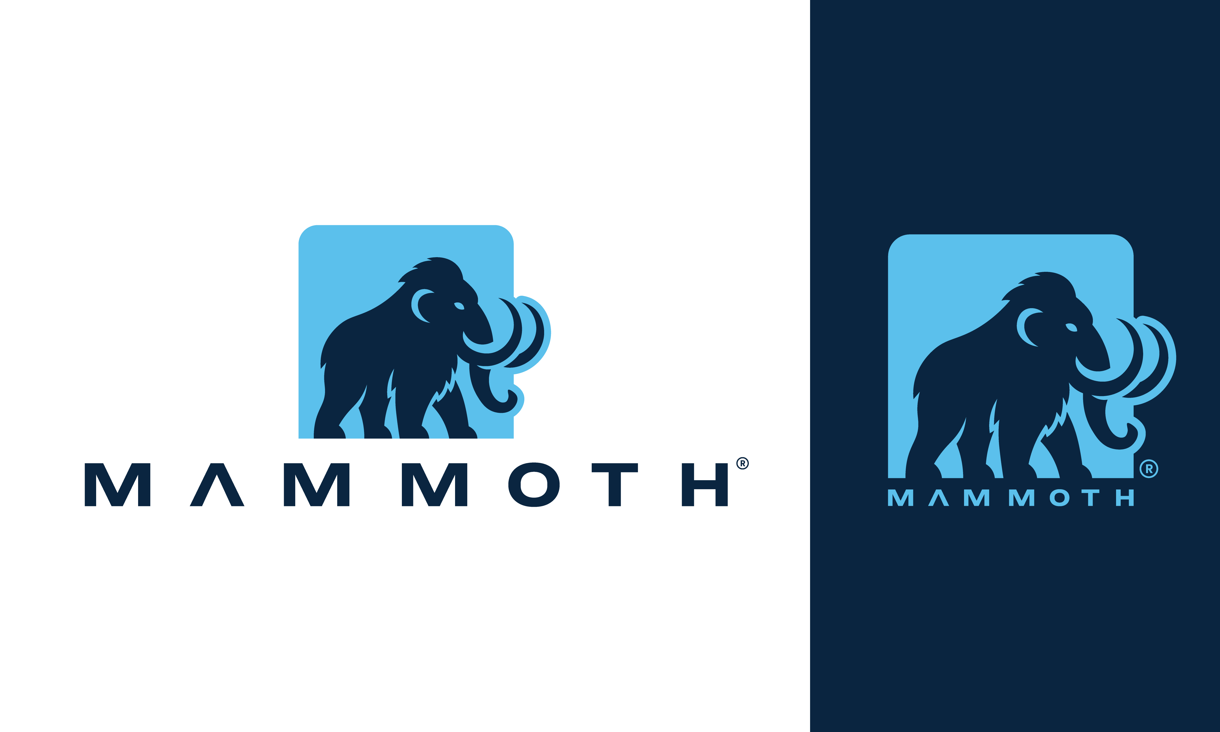 Logo Design by Duvai Studio for this project | Design #36023594