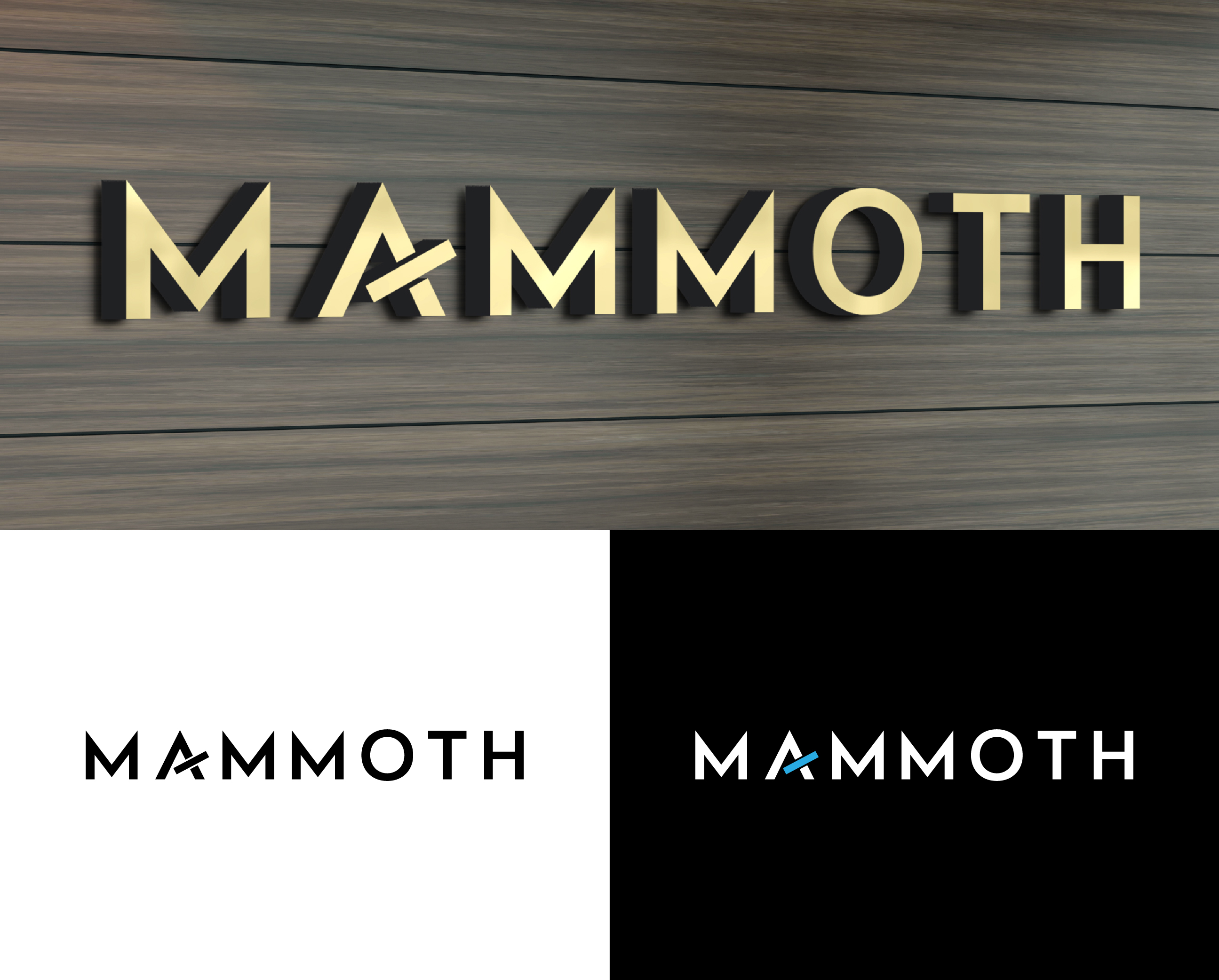 Logo Design by Creative Poli for this project | Design #36025477