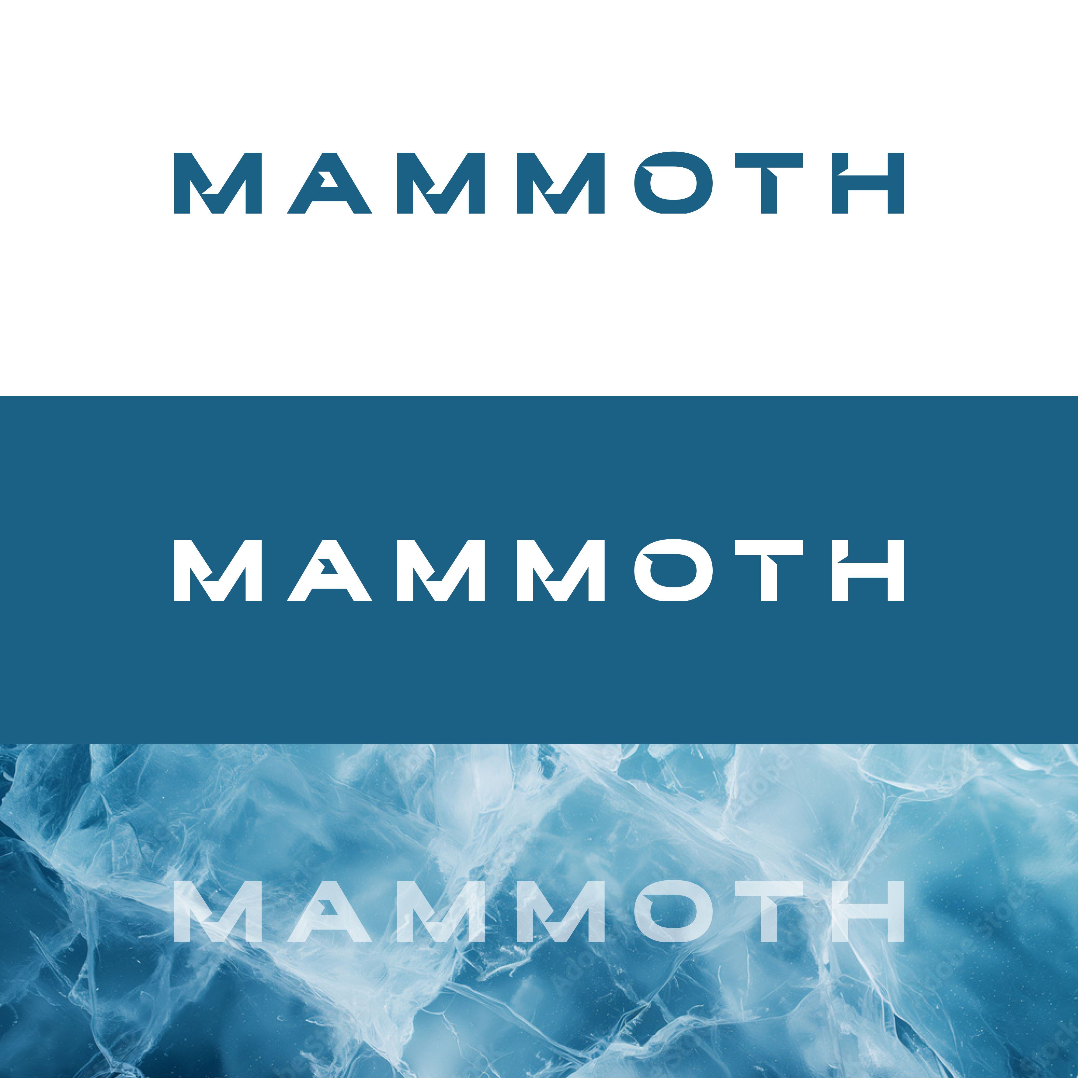 Logo Design by MasMasDesign for this project | Design #36025874