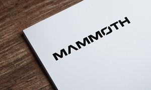 Logo Design by Jubaidur Creative Designer for this project | Design: #36023089