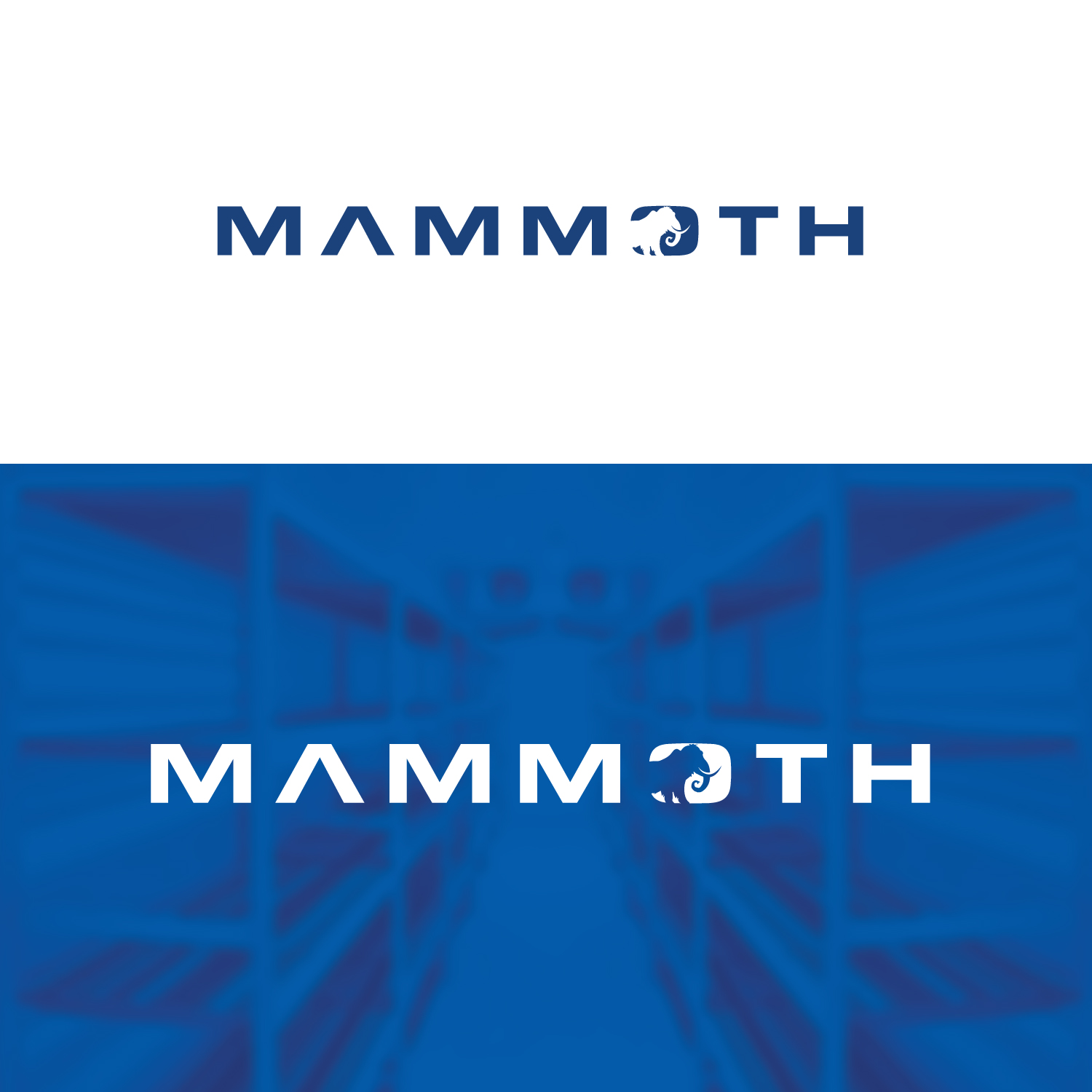 Diseño de Logo por EnaGraph para este proyecto | Diseño #36024201