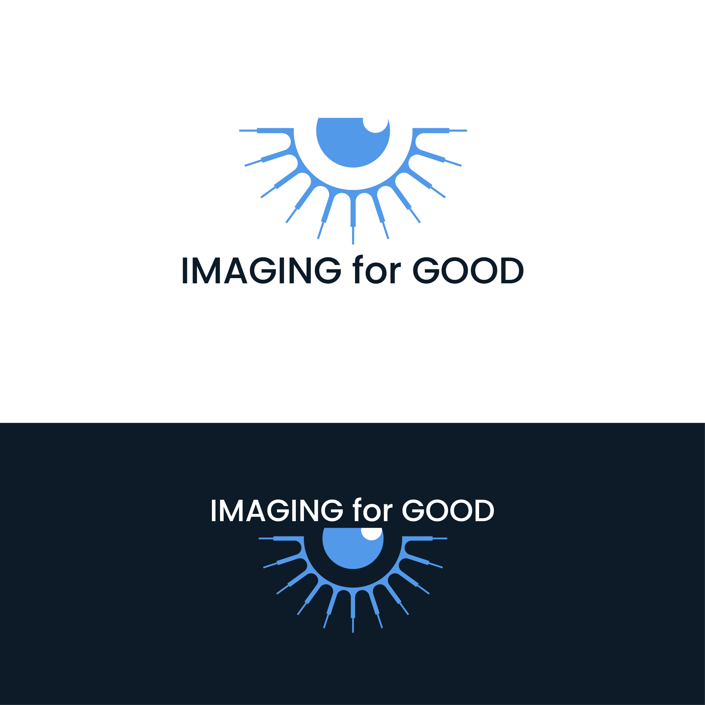 Logo Design by Boril Std for this project | Design #36045124