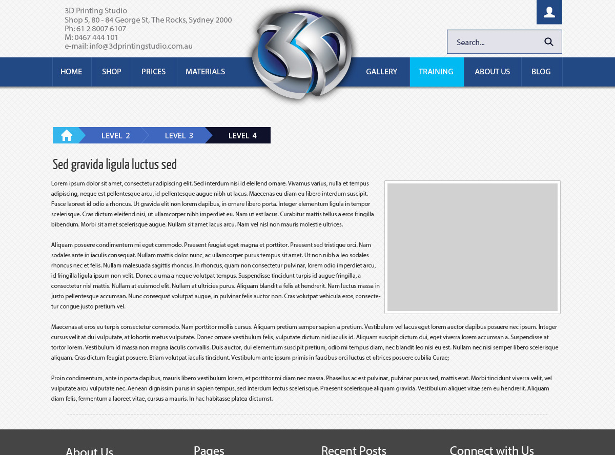 Web Design by sera.zoli for Intelligent Information Systems | Design #3202136