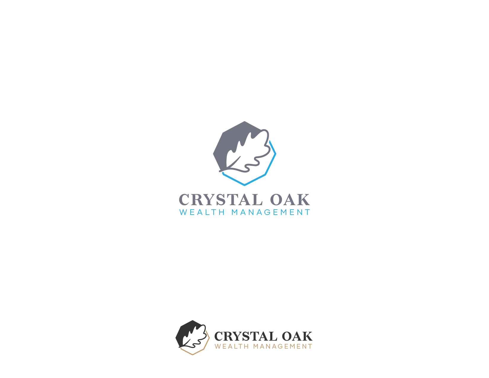 Logo-Design von JuniorDesigns für dieses Projekt | Design #36041023