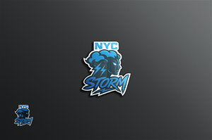 Logo Design by MAHRaju for this project | Design #36042962