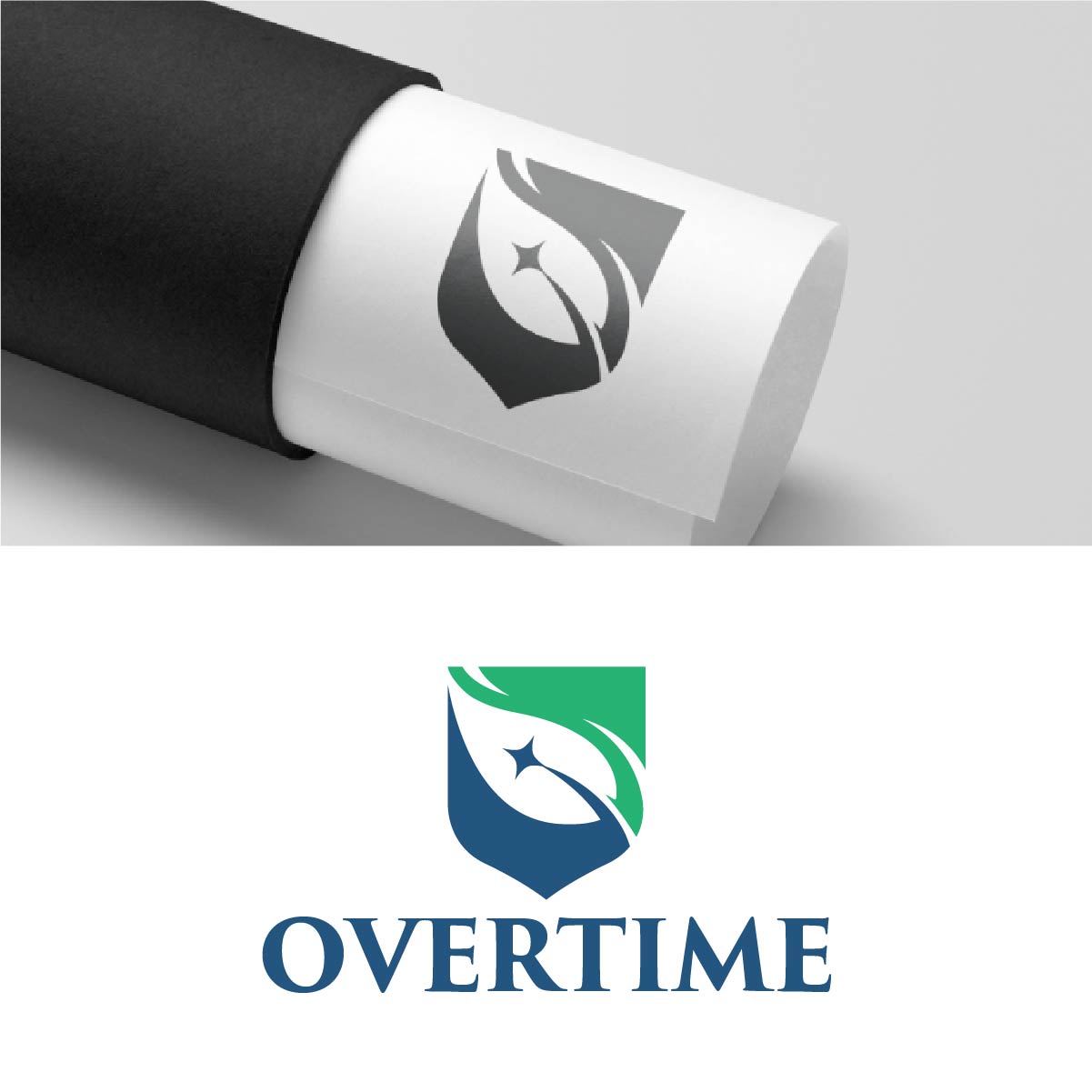 Logo Design by fly  design for this project | Design #36047634