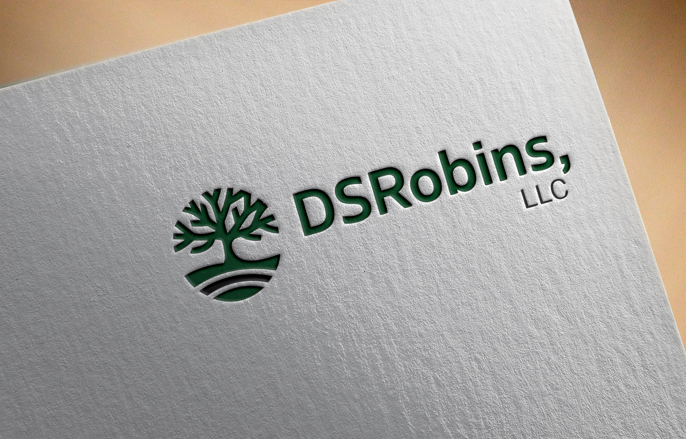 Logo Design by abcd.. for this project | Design #36049878