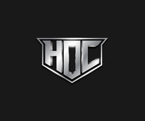 Logo-Design von Ansh Design für dieses Projekt | Design: #36048611