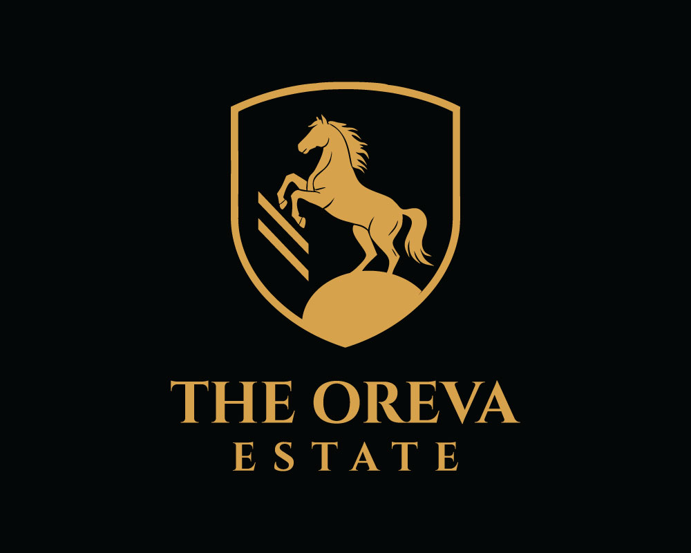 Logo Design by Badhan for this project | Design #36090701