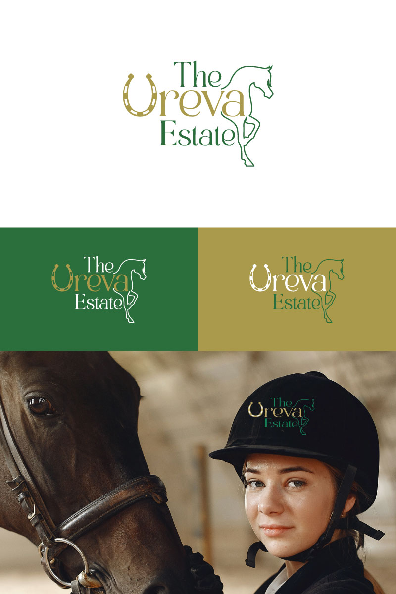 Logo Design by Huzie Ali for this project | Design #36076187