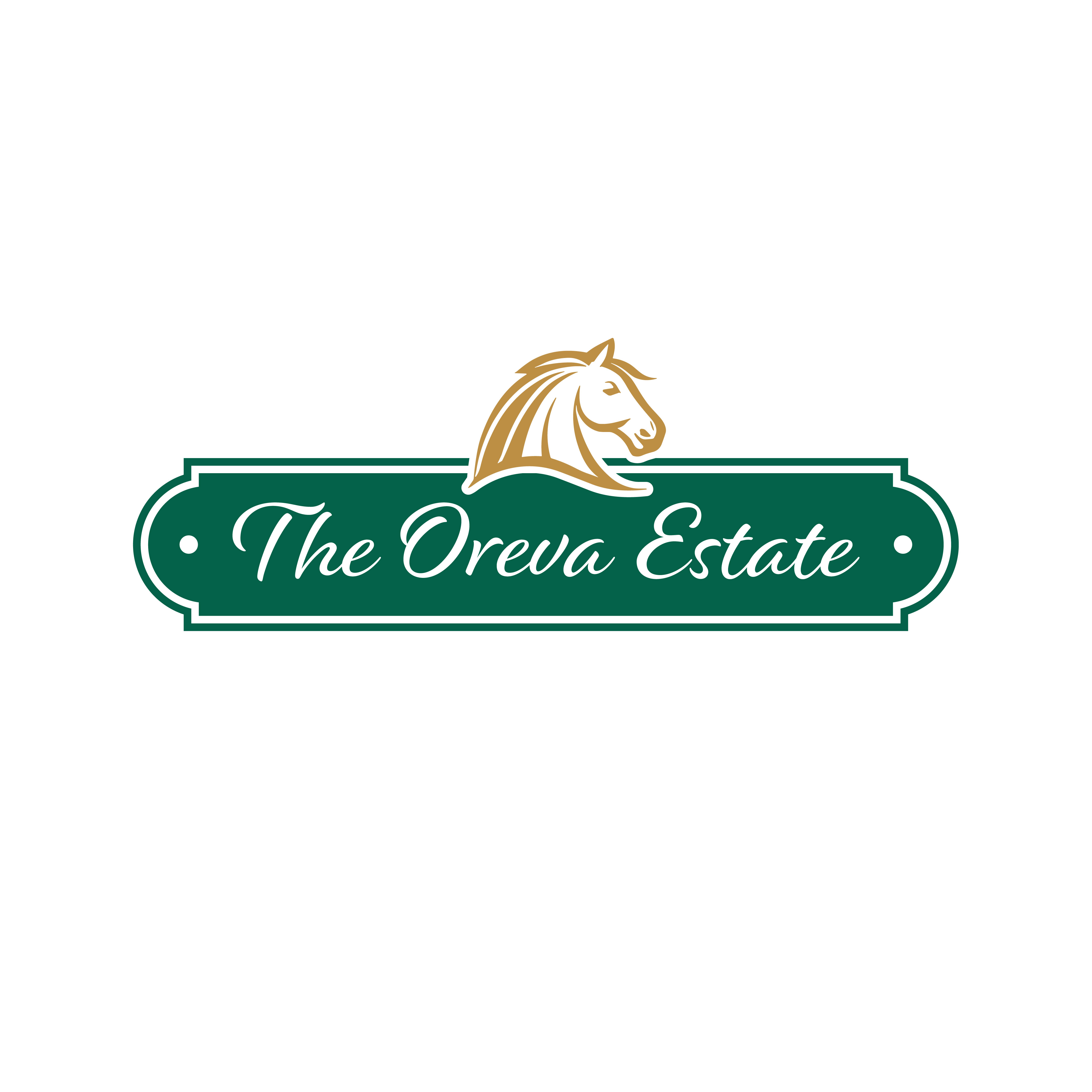 Diseño de Logo por maes3o para este proyecto | Diseño #36050055