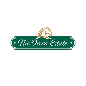 Diseño de Logo por maes3o para este proyecto | Diseño: #36050055