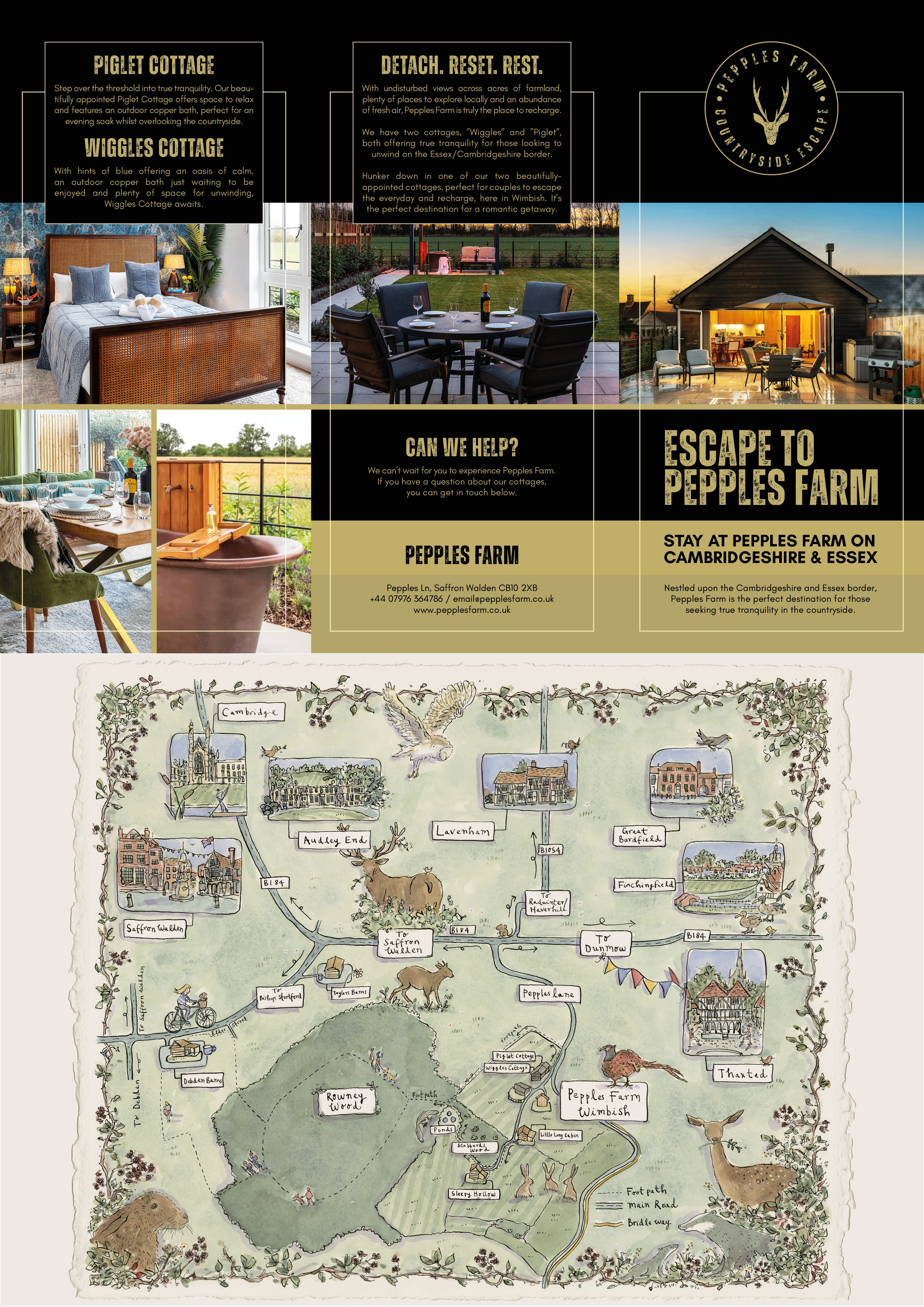 Brochure Design by MarkoE for this project | Design #36056371