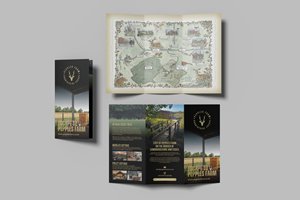 Brochure Design by barinix for this project | Design: #36058362