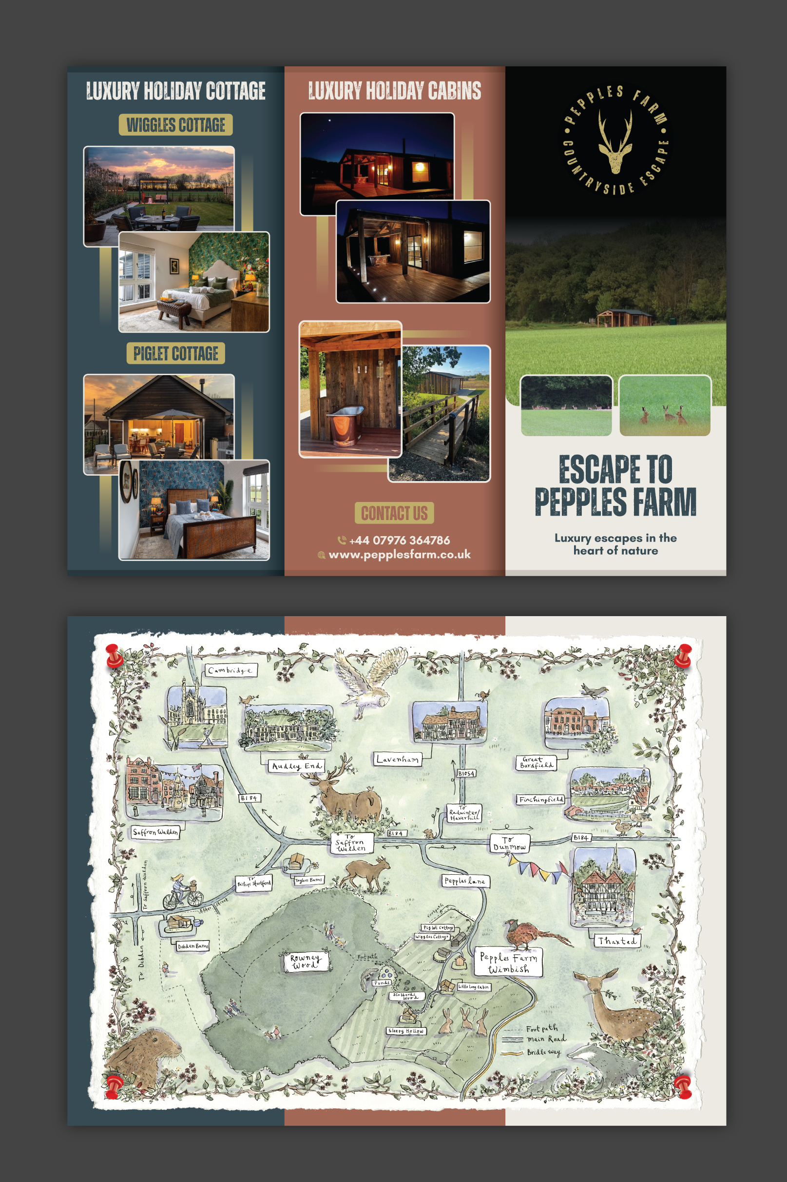 Design de Brochure par Impressive Designs pour ce projet | Design #36054678
