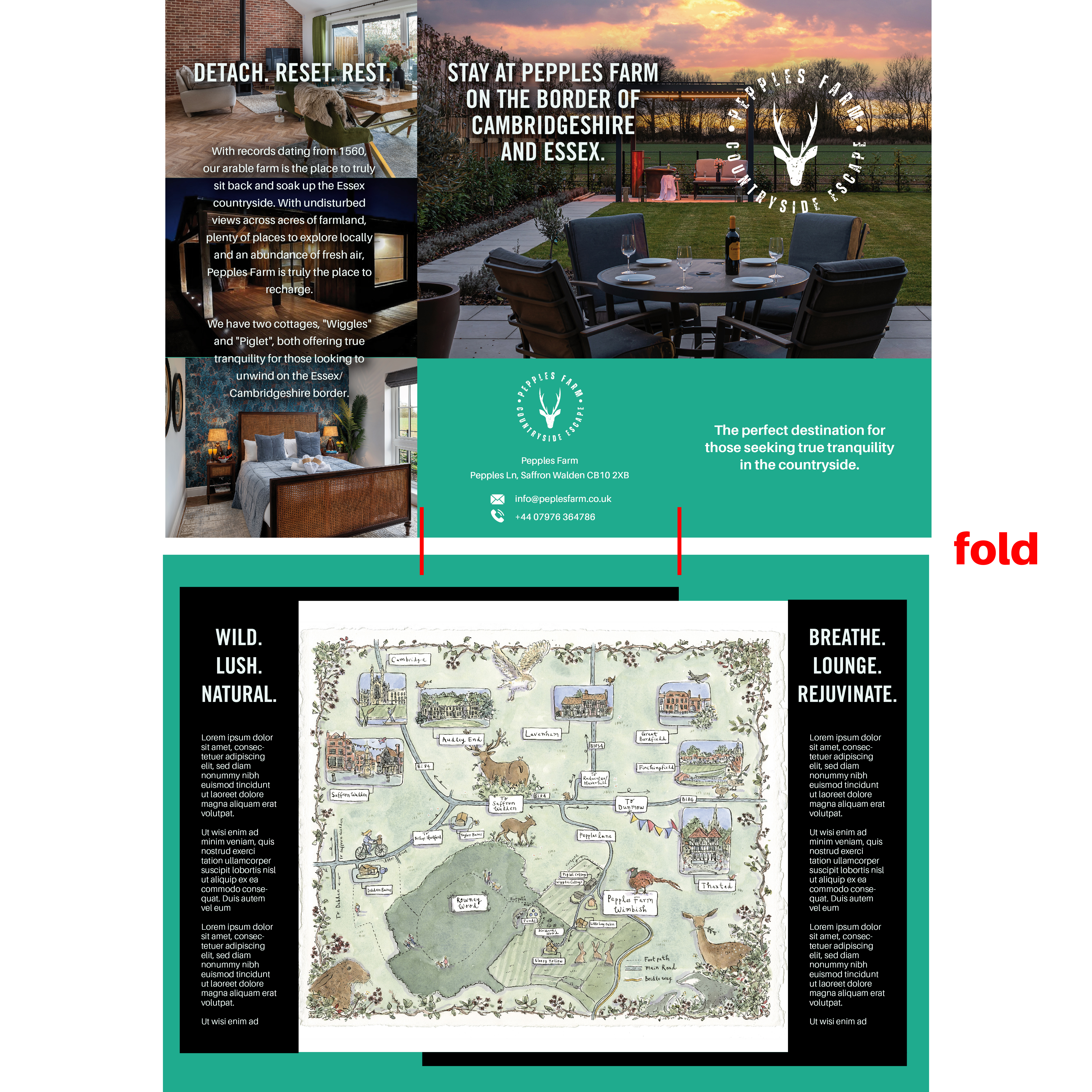 Brochure Design by Javelin Studio for this project | Design #36067389