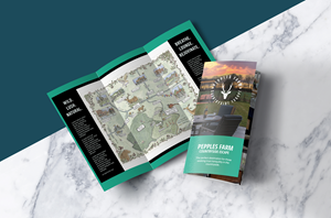 Brochure Design by Javelin Studio