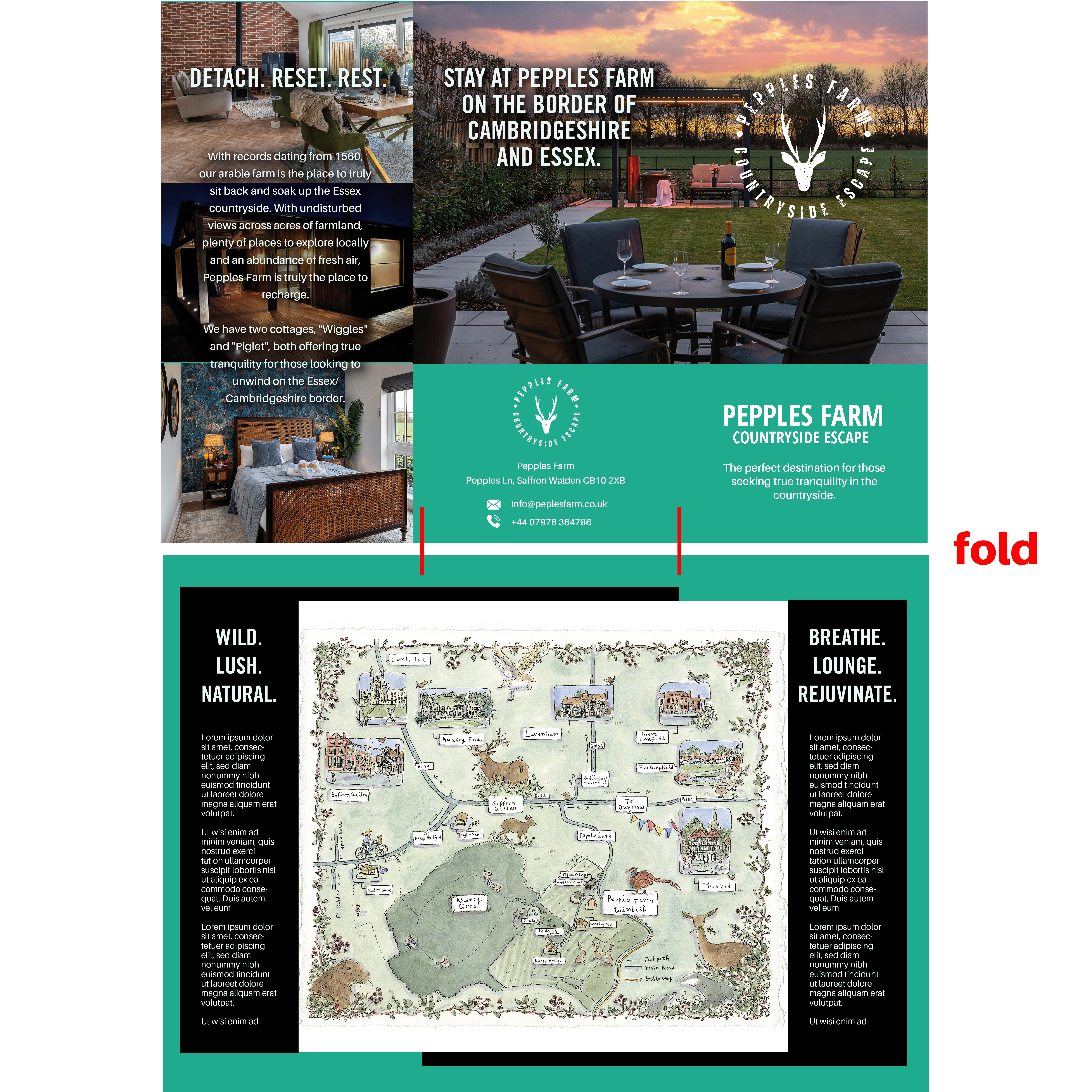 Brochure Design by Javelin Studio for this project | Design #36078492