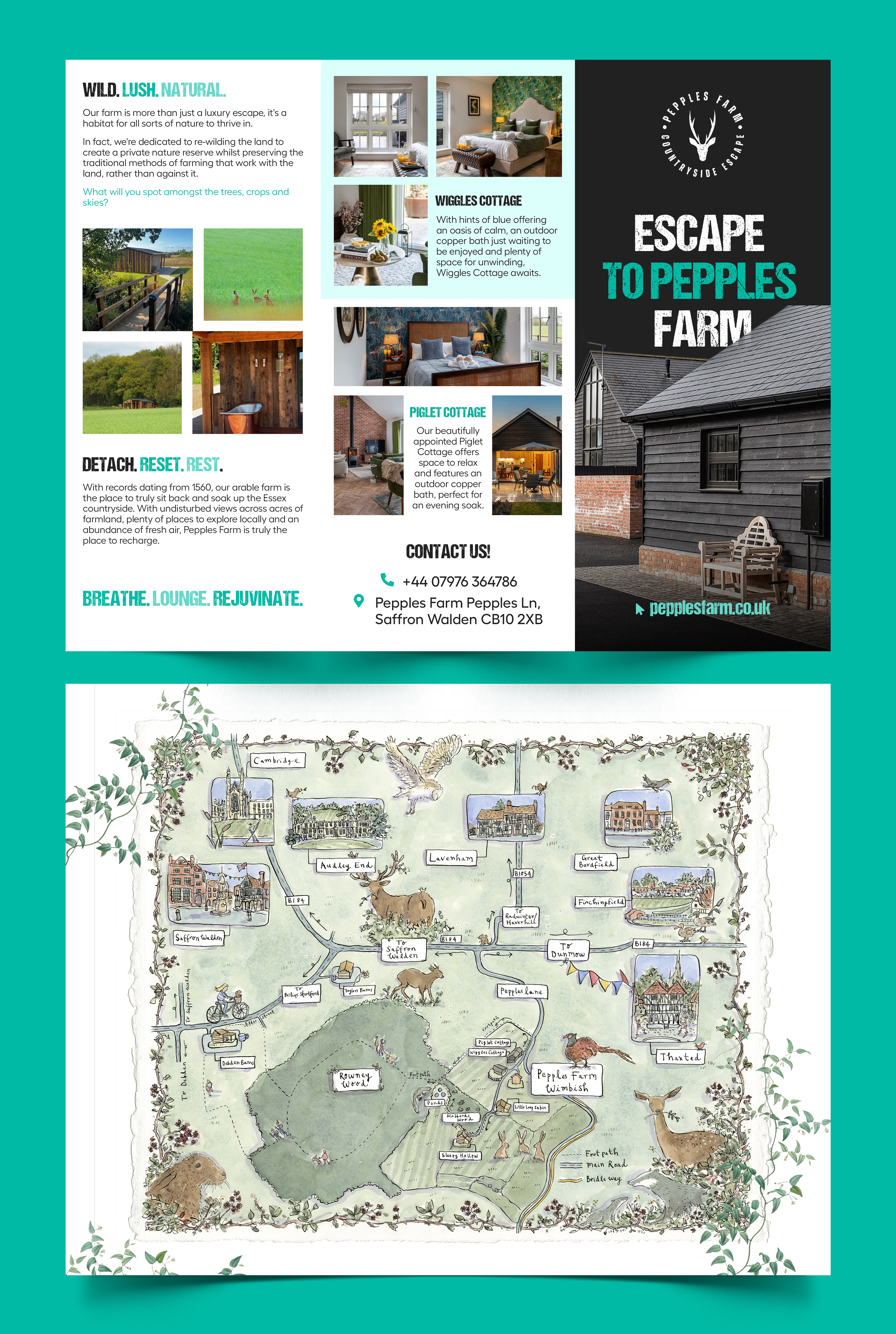 Design de Brochure par Graphic Guy pour ce projet | Design #36056127