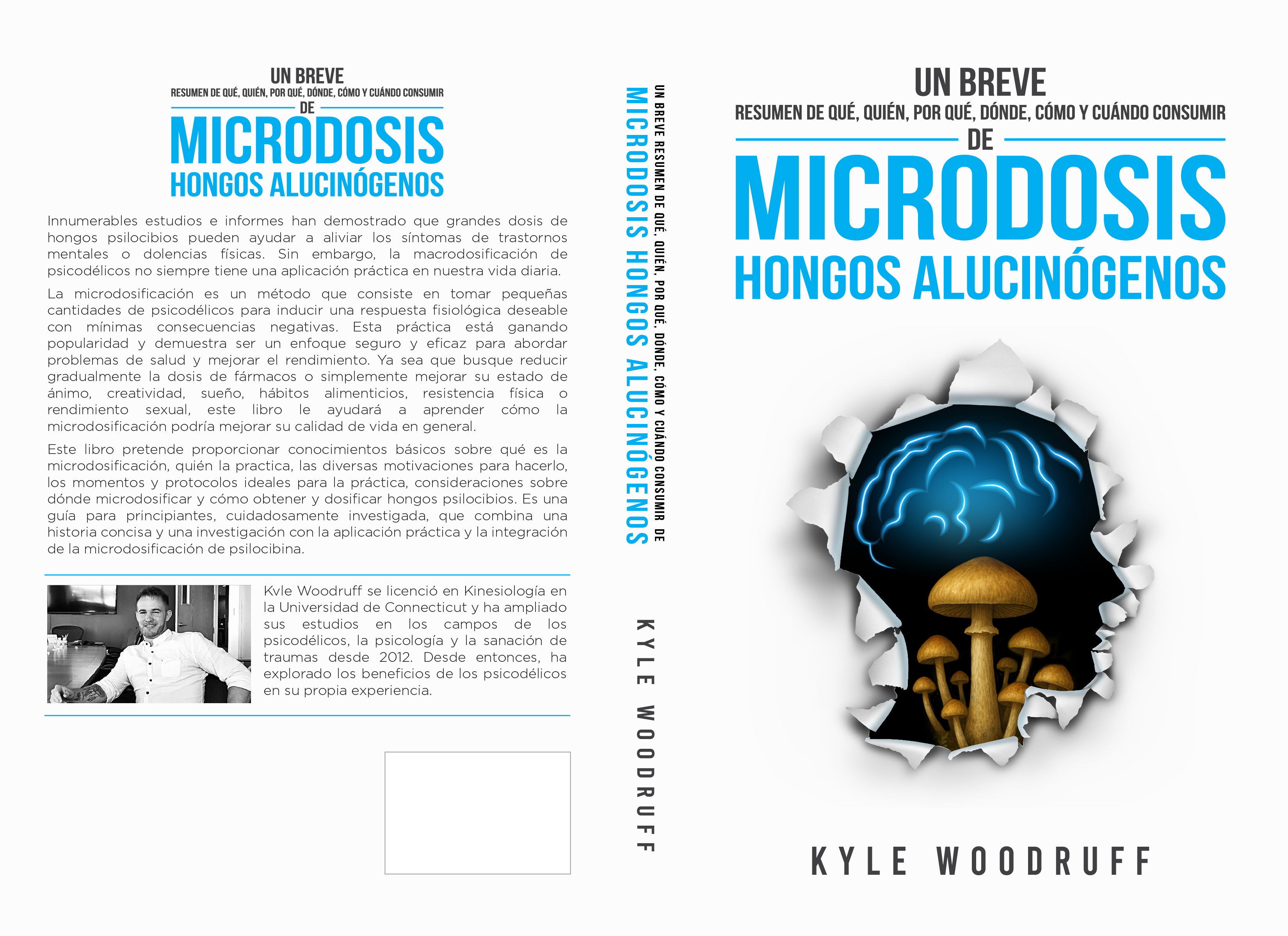 Diseño de portada de libro por abdul700 para este proyecto | Diseño #36148219